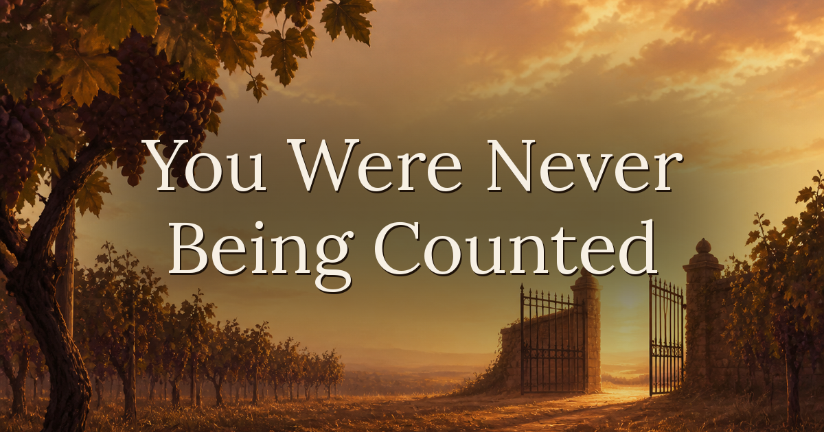 You Were Never Being Counted