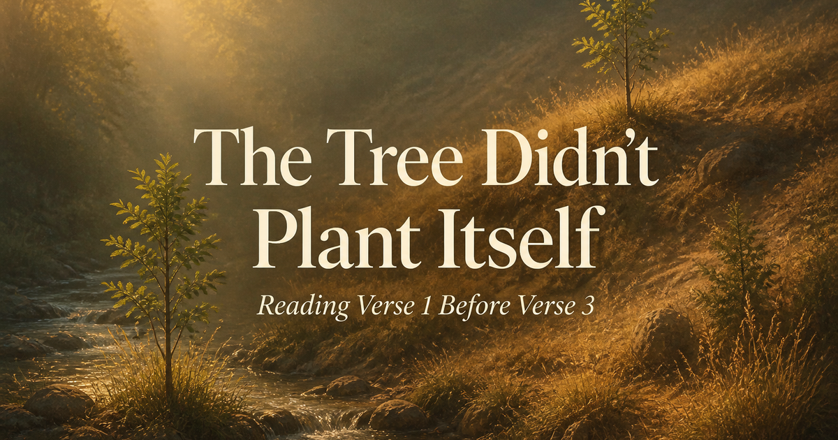 The Tree Didn't Plant Itself