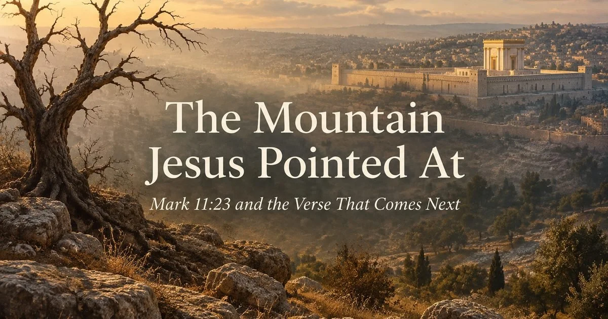 The Mountain Jesus Pointed At