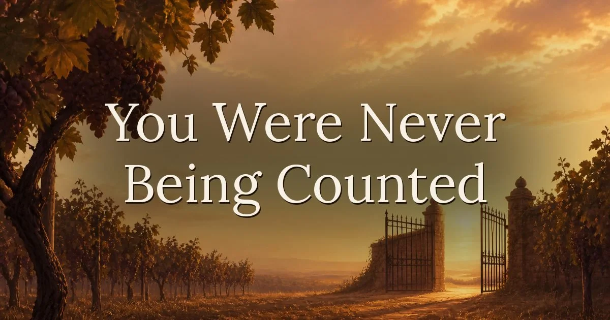 You Were Never Being Counted
