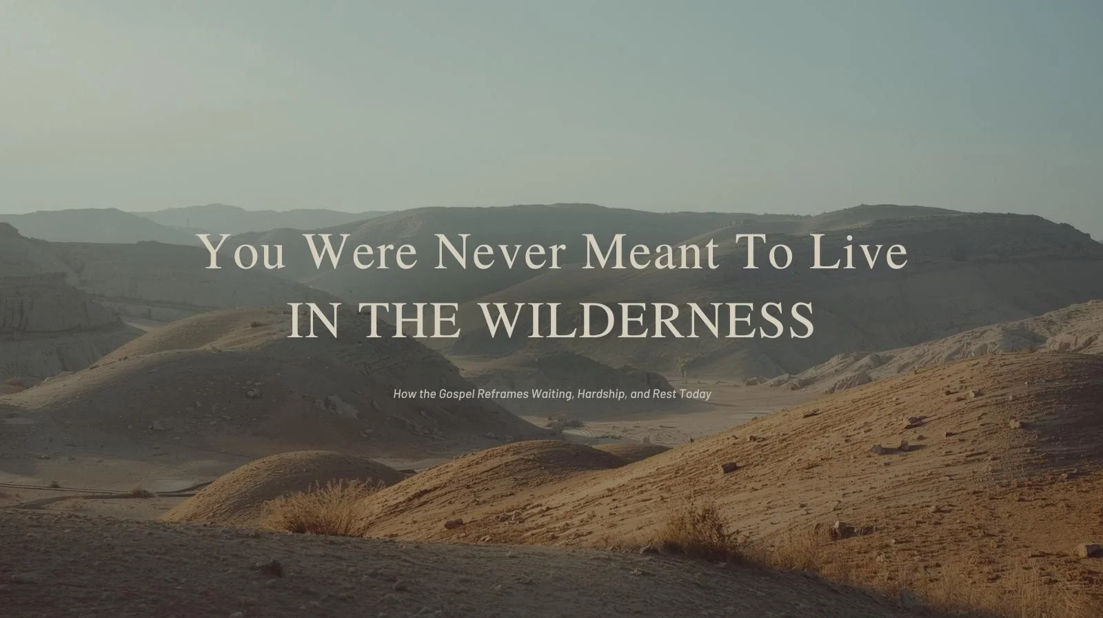 You Were Never Meant to Live in the Wilderness