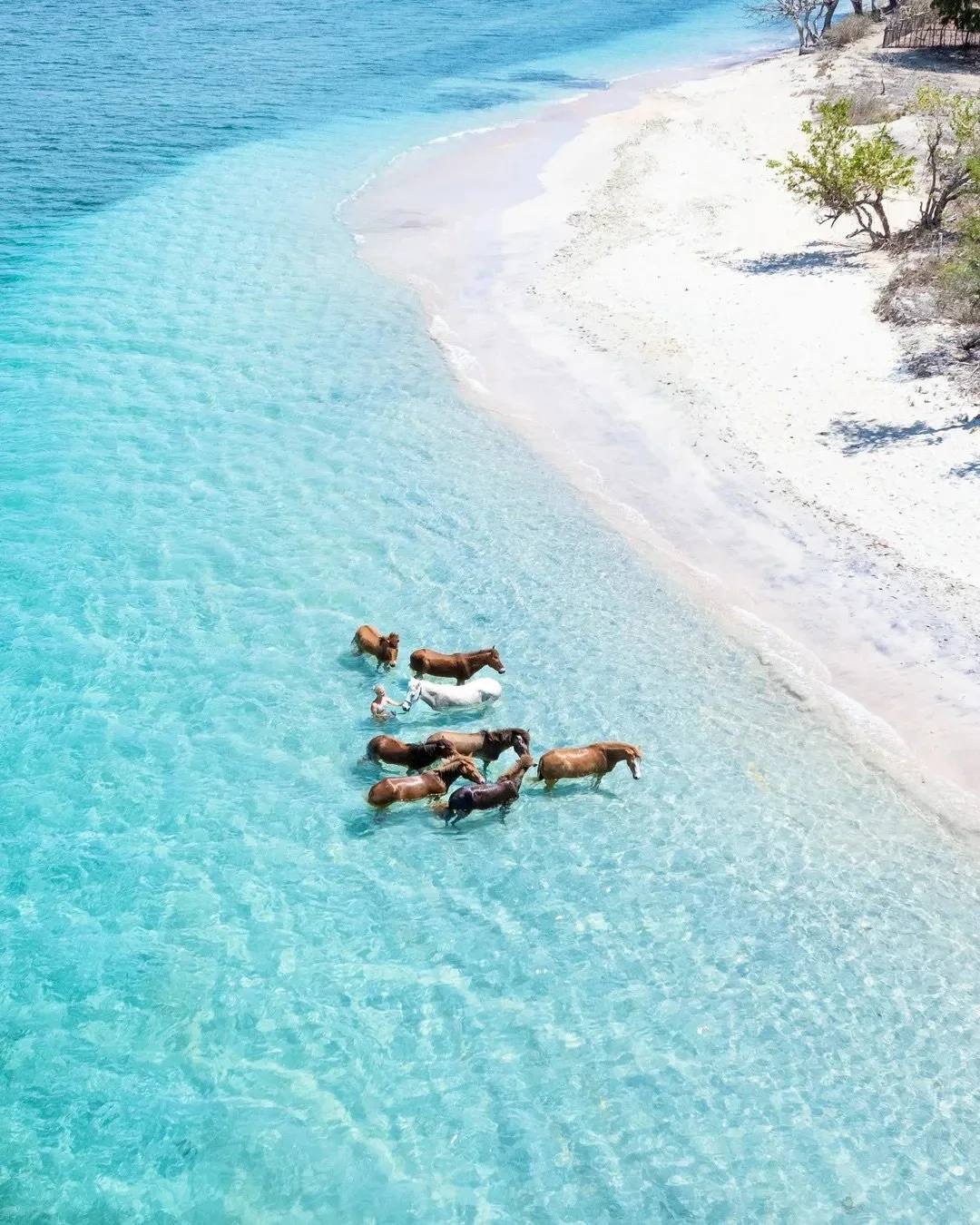 Womens wellness retreat Lombok Secret Gilis Gili Ahasan horses