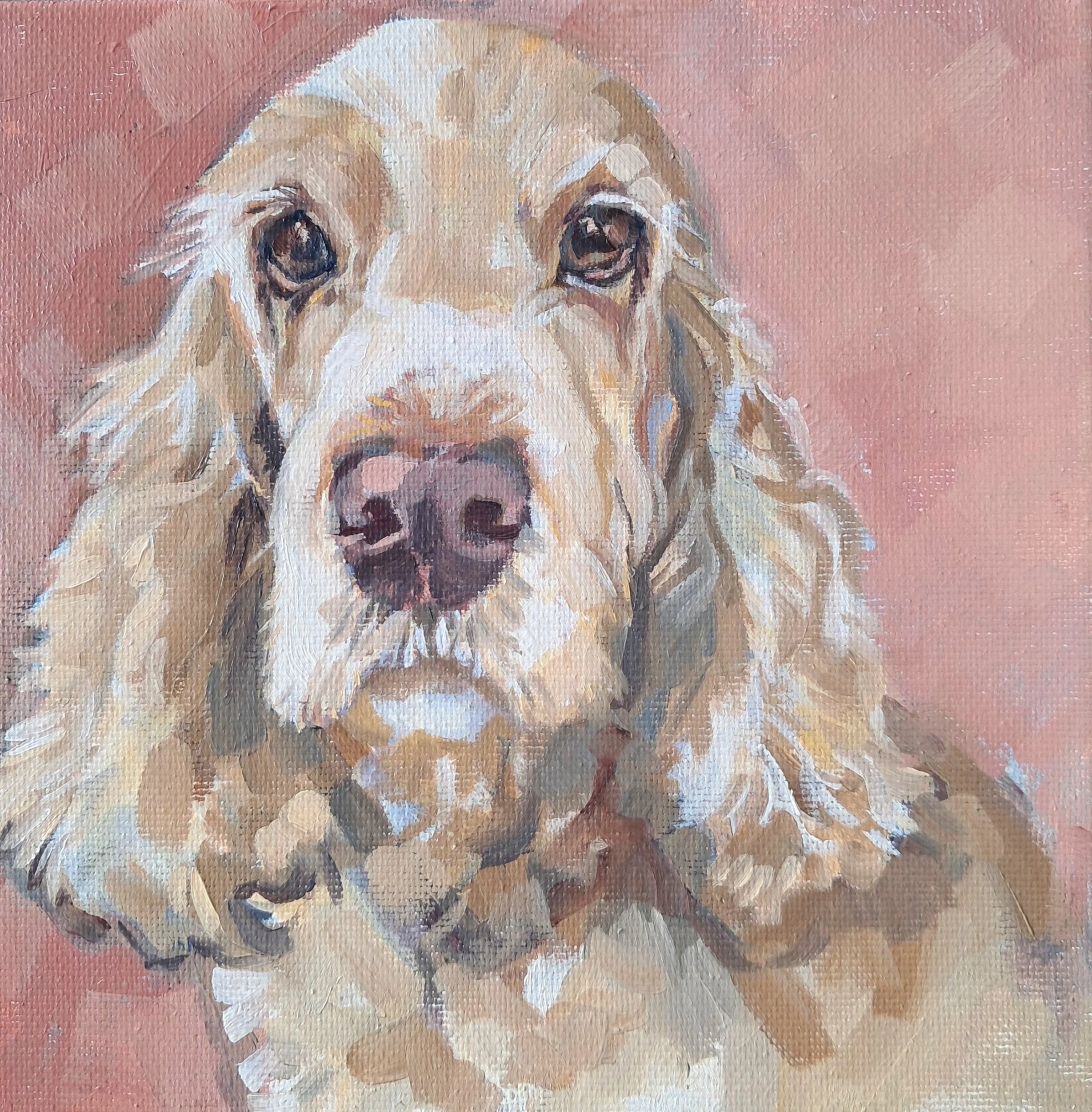 'Purdie' Oil on Canvas, 8 x 8in (private commission)