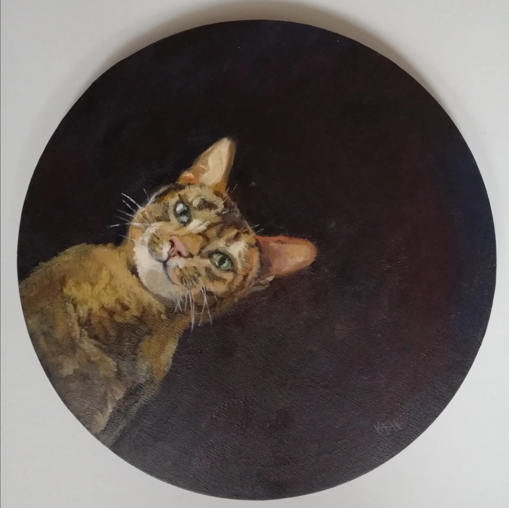 'You are SO beneath me'
Oil on Canvas
£95