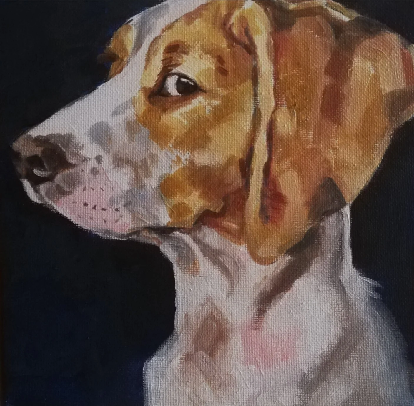 'Side Eye Sam'
25 x 20cm
Oil on Canvas
(SOLD)