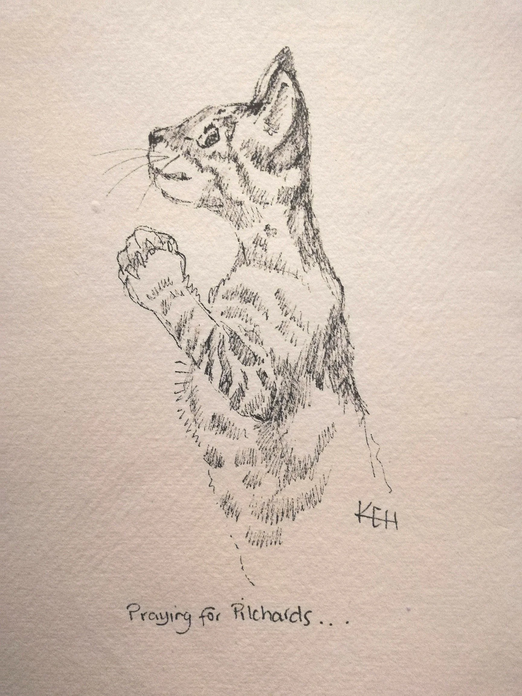 'Praying for Pilchards'
ink on handmade paper
£15 