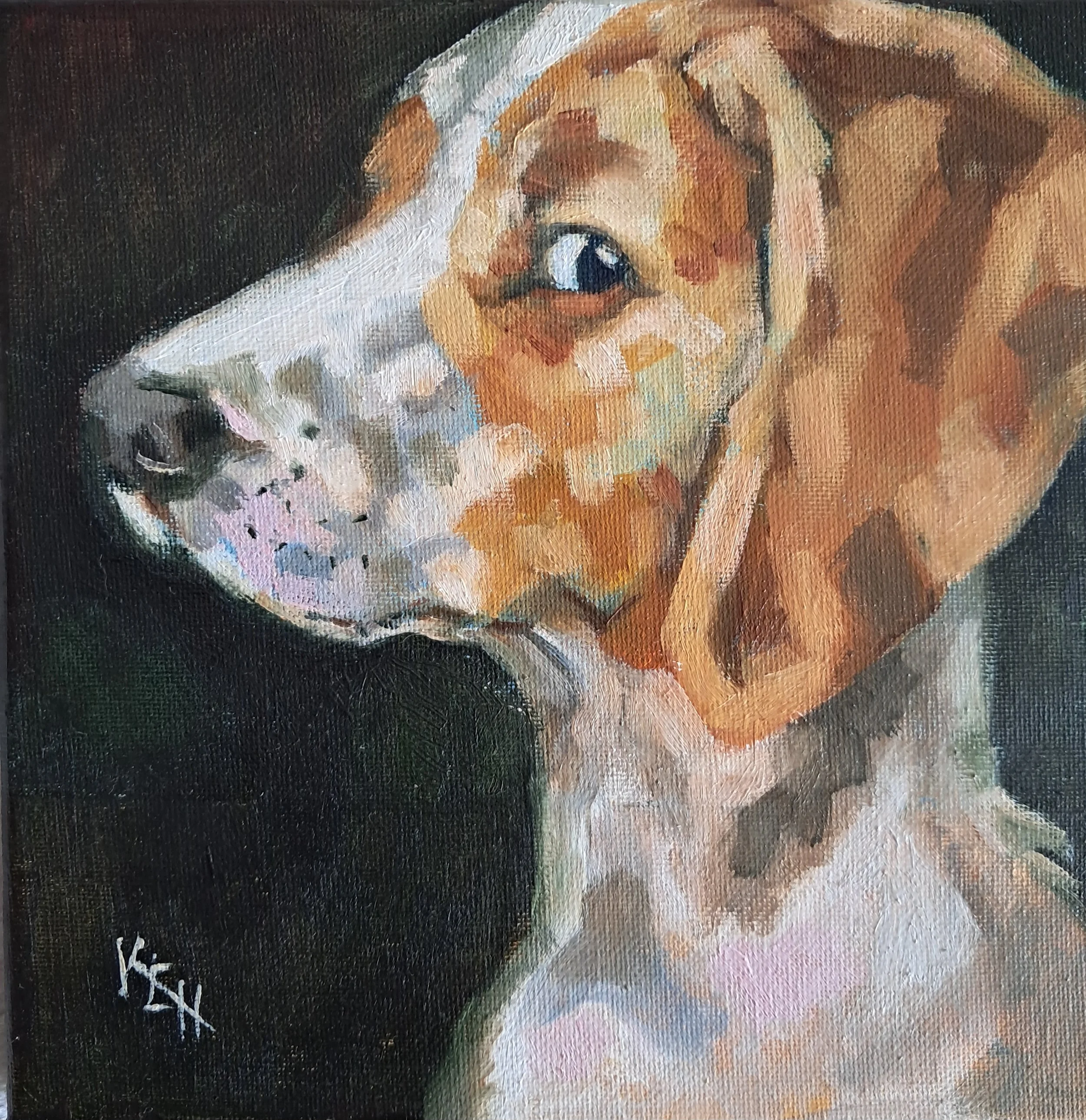 'Side Eye Sam'
20 x 20cm
Oil on Canvas
£95