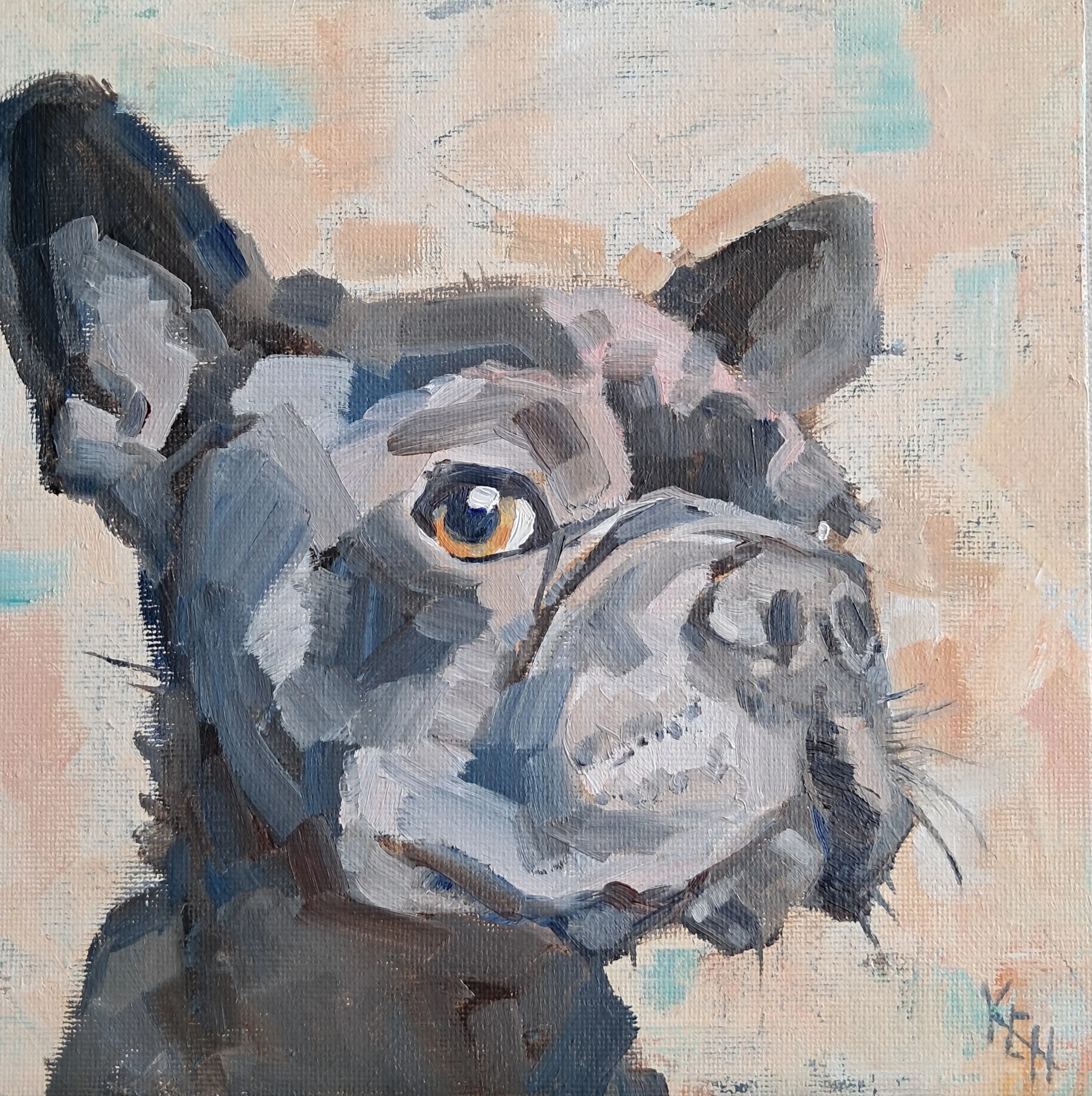 'Side eye Frenchie'  Oil on board 8 x 8 £75