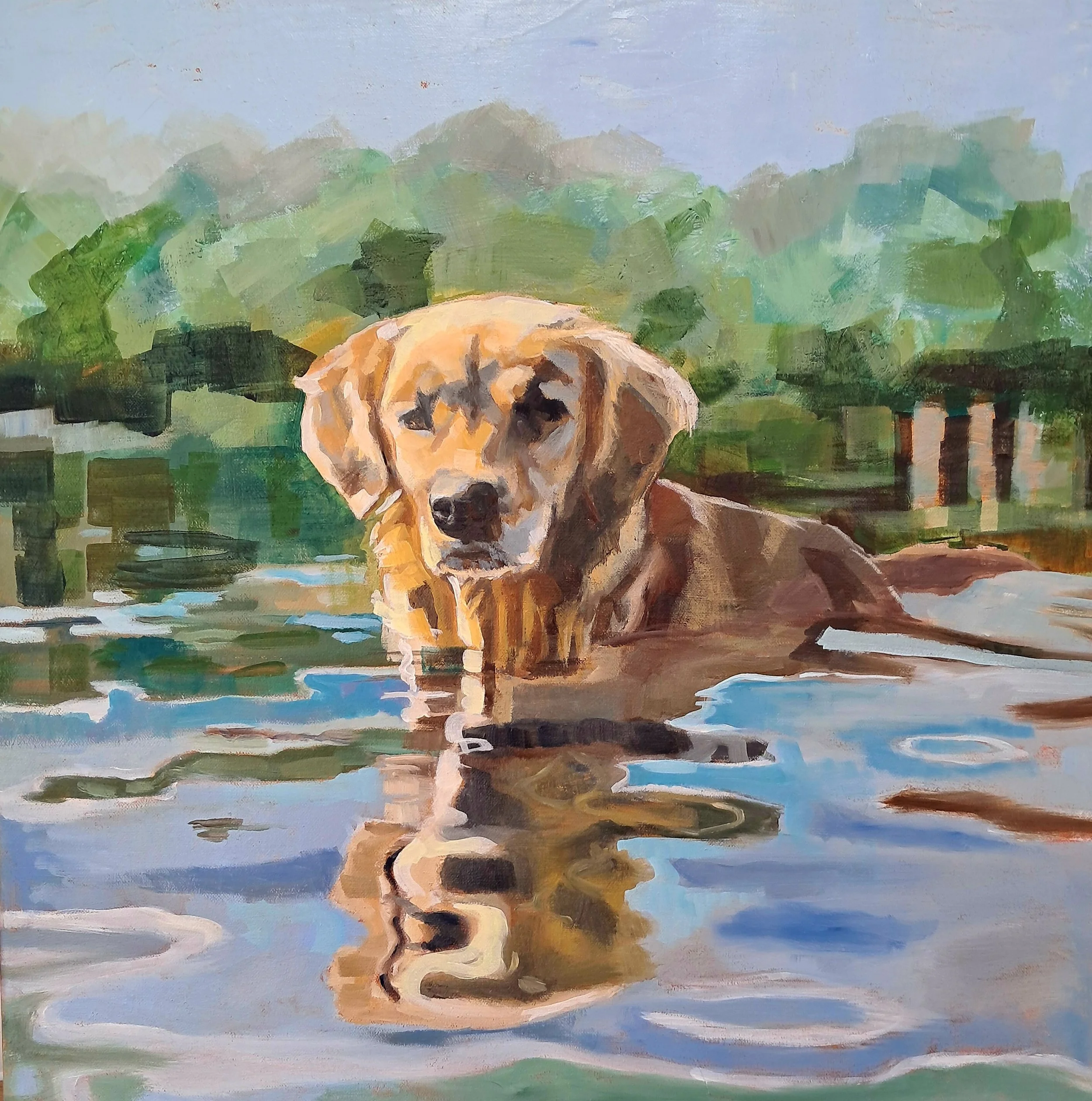 'Go On, Throw It Then!'   Oil on Canvas, 50 x 50cm  £195