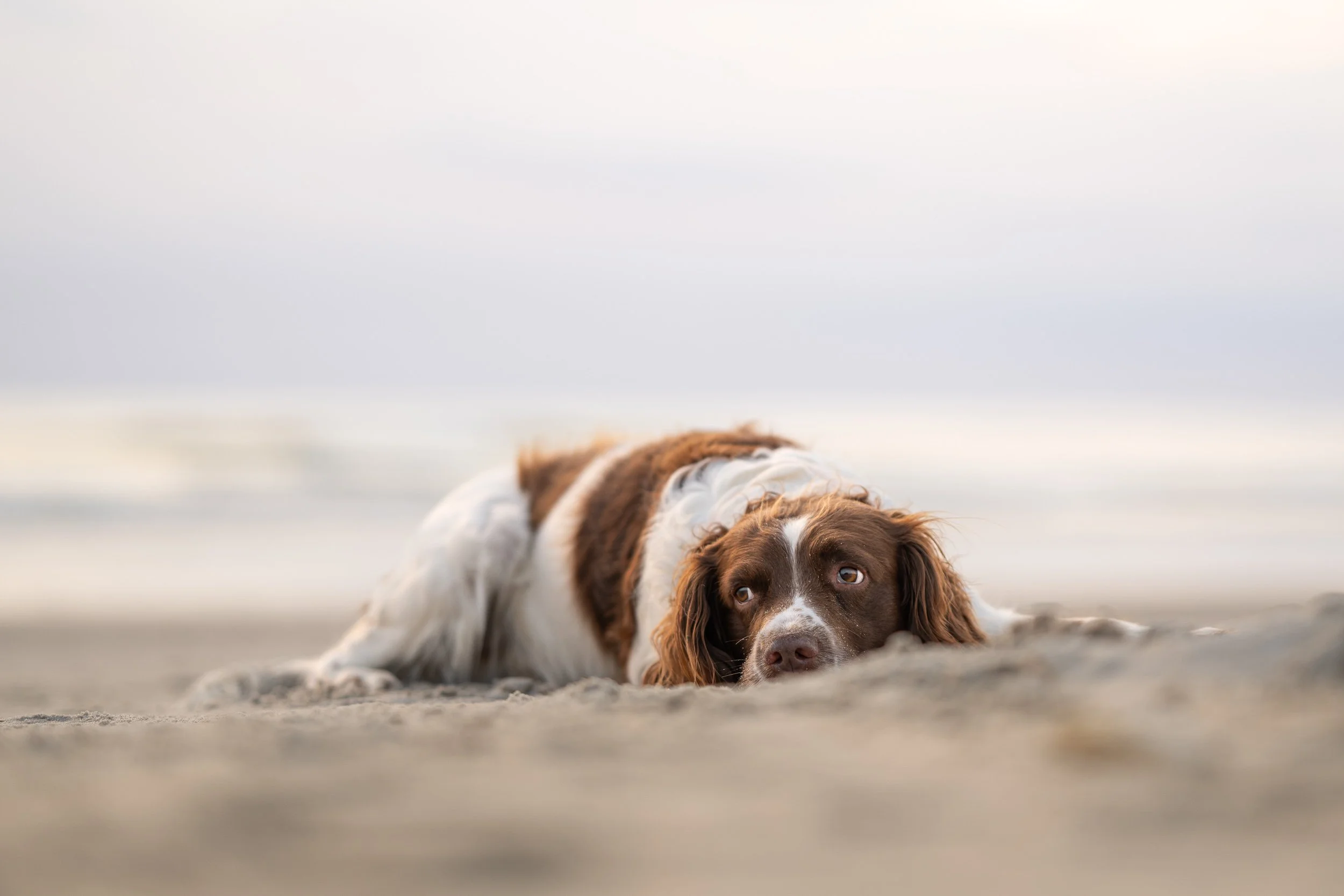 Strand-mini-session / beach-mini-session