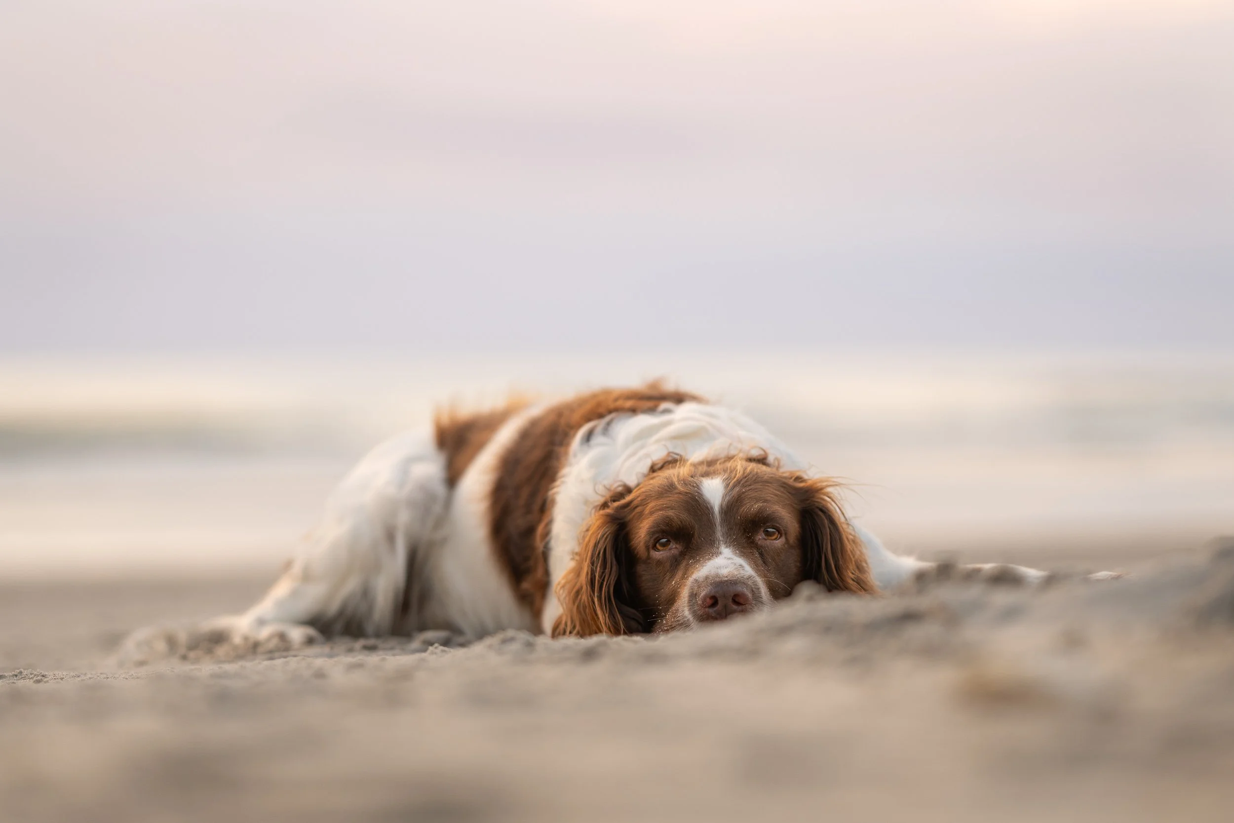Strand-mini-session / beach-mini-session