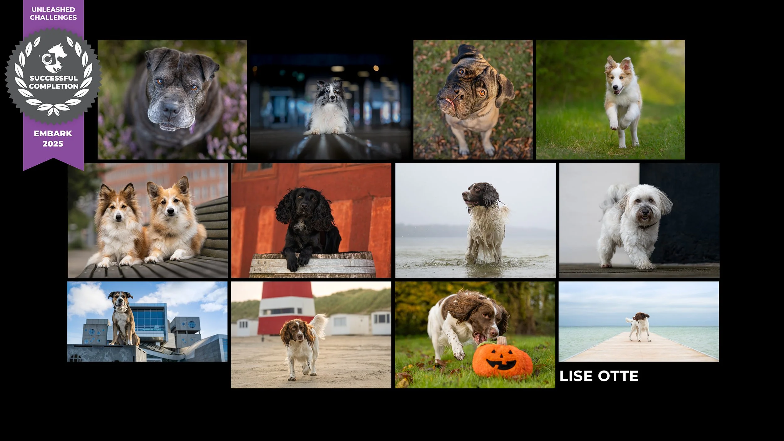 At få feedback på sit arbejde…