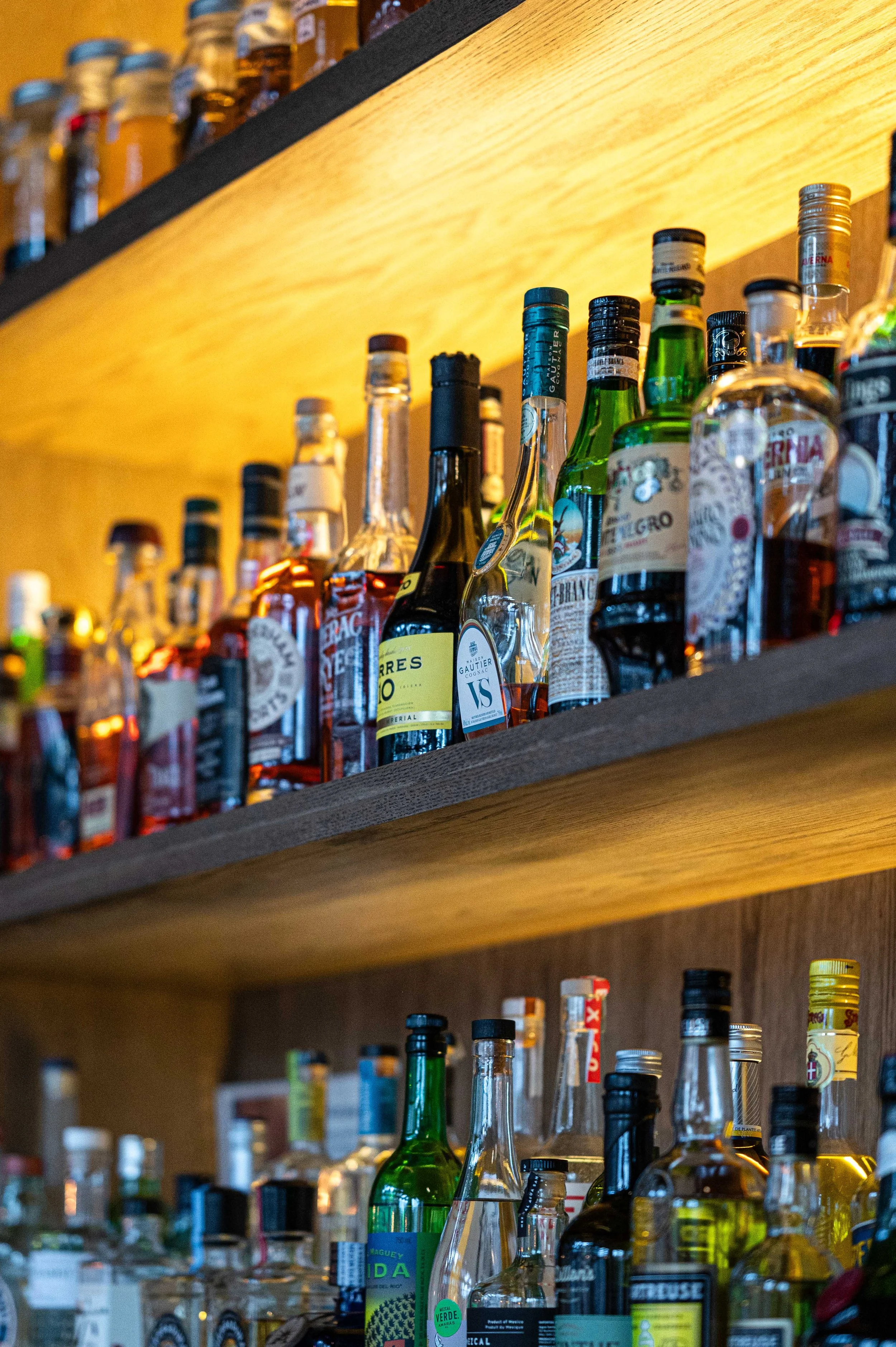 Copy of 20240222_LISBONHOTEL_5318.jpg