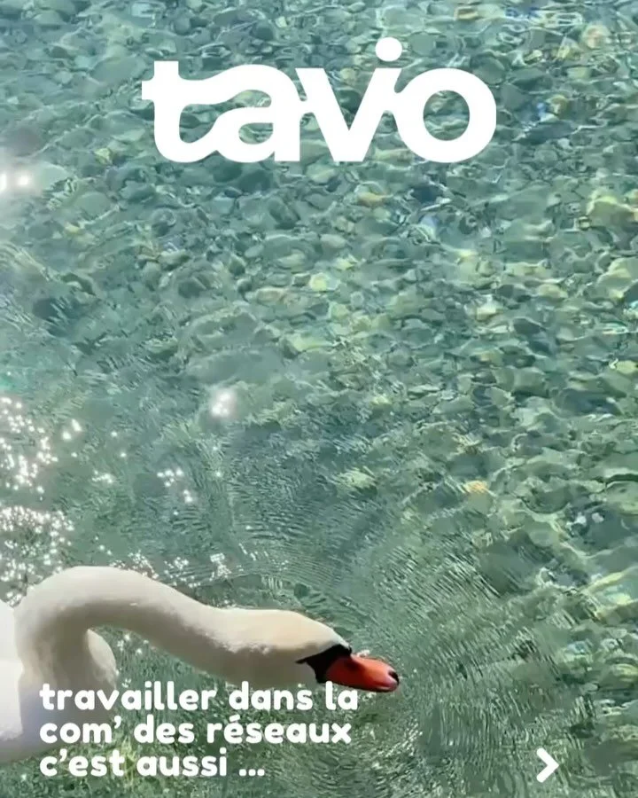Un savant mélange qui a créé l’ADN de l’Agence Tavio ☀️
Mentions :
I. artiste-bijoutière @flore.soria 
II. photographe @alexaleroy & modèle @krisreynaud_md 
III. artiste-plasticienne @silinasyan au