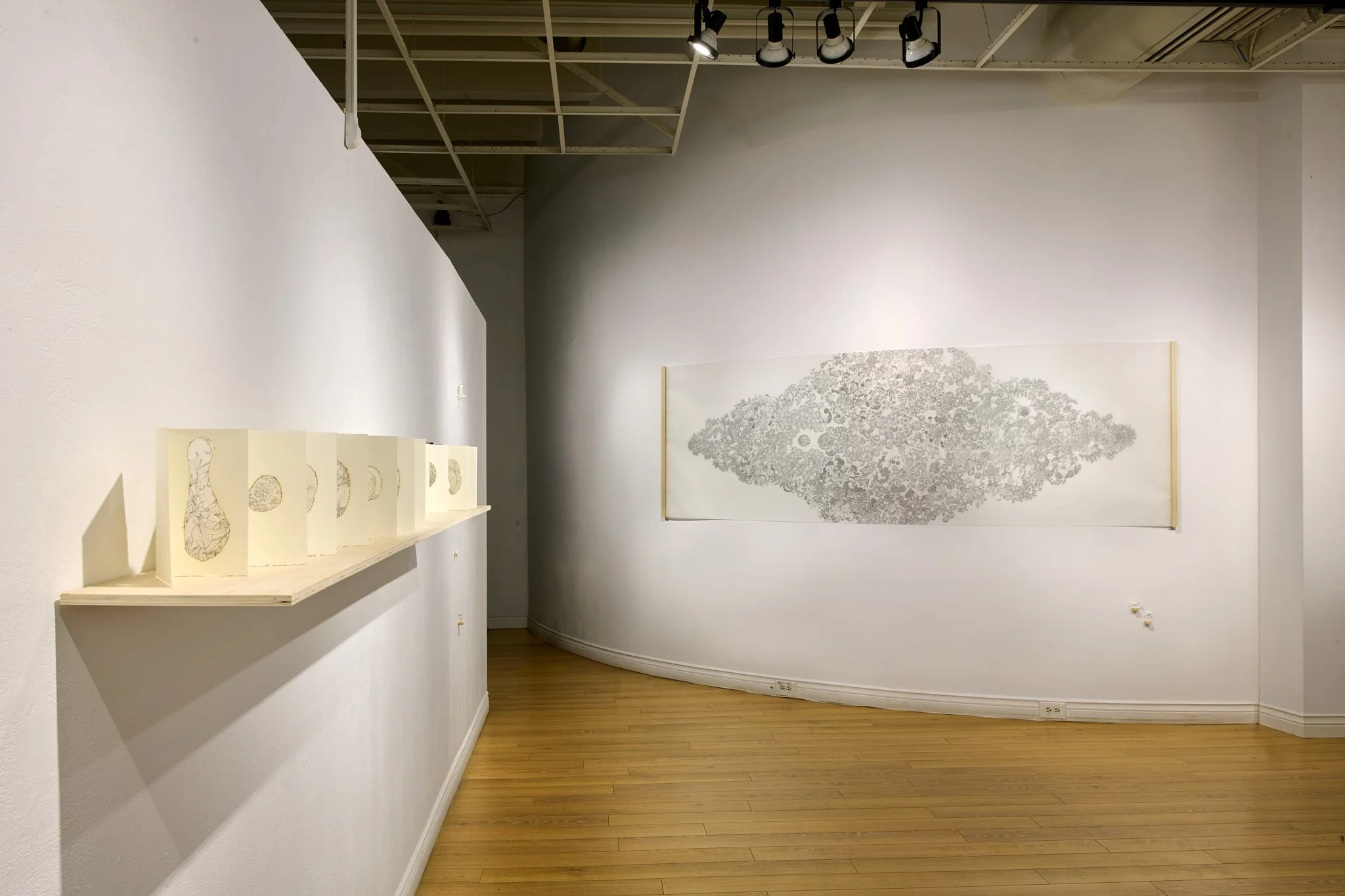 The Persistence of Soft Things  (2024-25)   

36” x 111”, Graphite pencil  on frosted mylar, poplar wood support

Drawn in graphite on frosted mylar, The Persistence of Soft Things traces the quiet resilience of mosses, lichens, and liverworts — orga