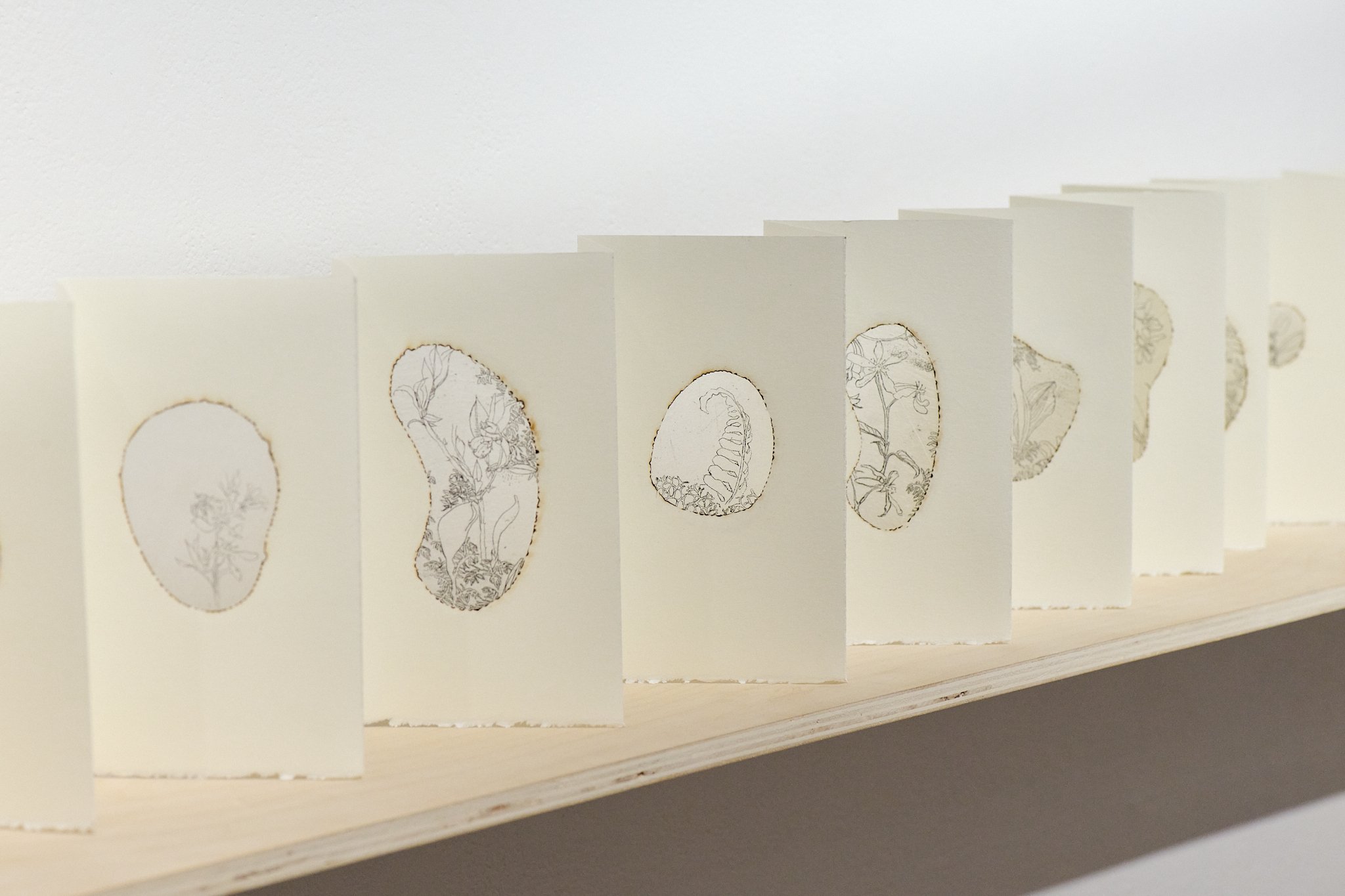 34_2025-11-30_What remains_Exhibition vCraig Gallery__WSZ1457_WS-web.jpg