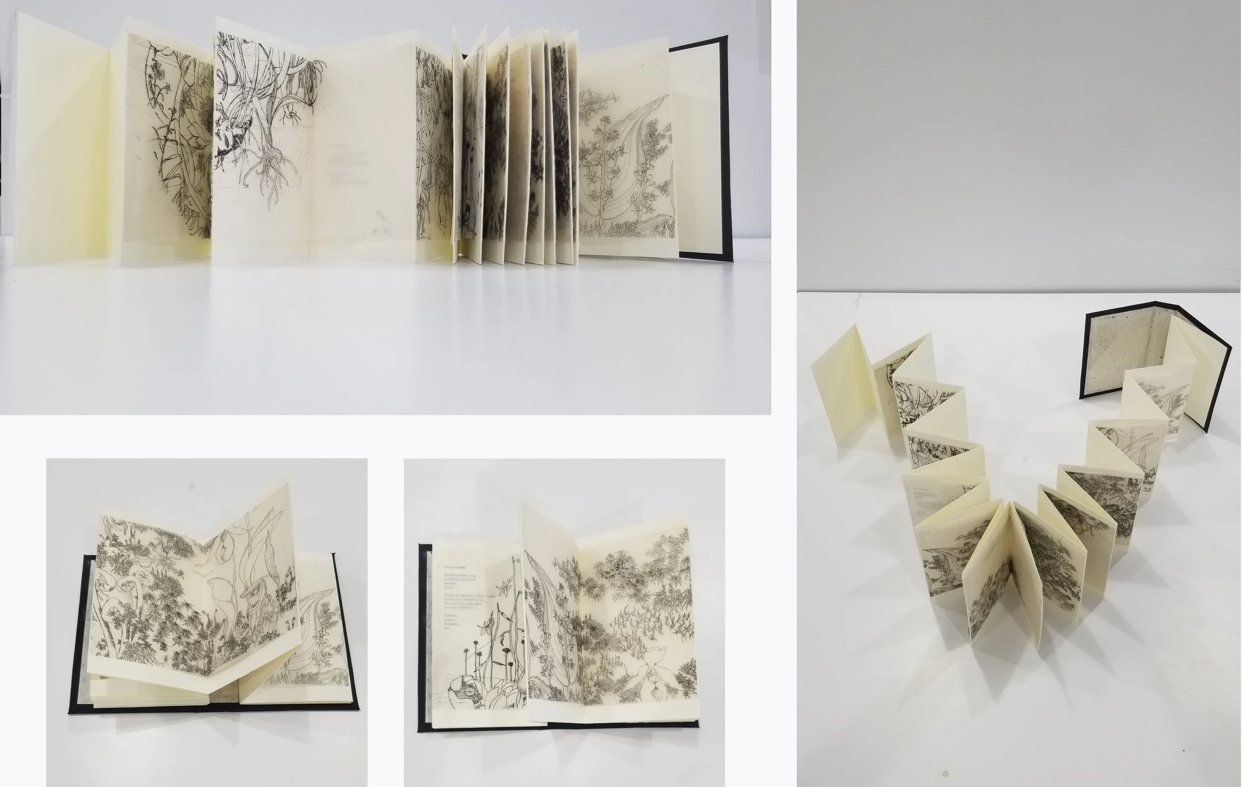 03_little black book 03.jpg