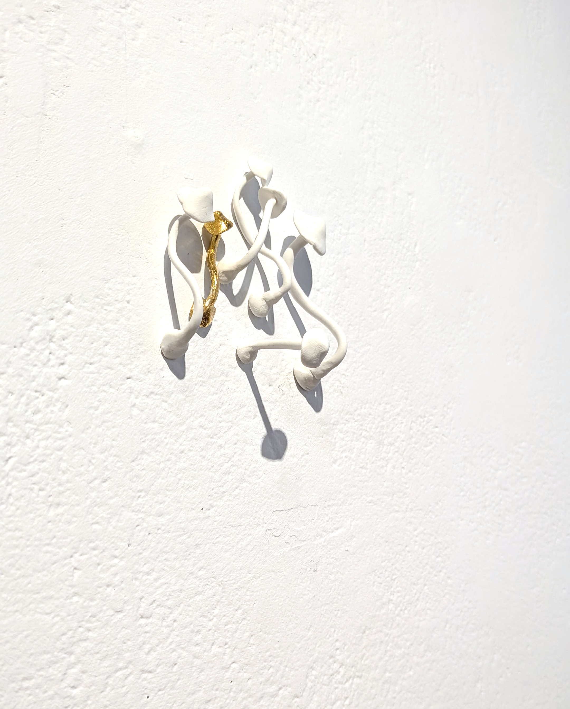 small white mushrooms erupting from the wall with one gold mushroom entangled