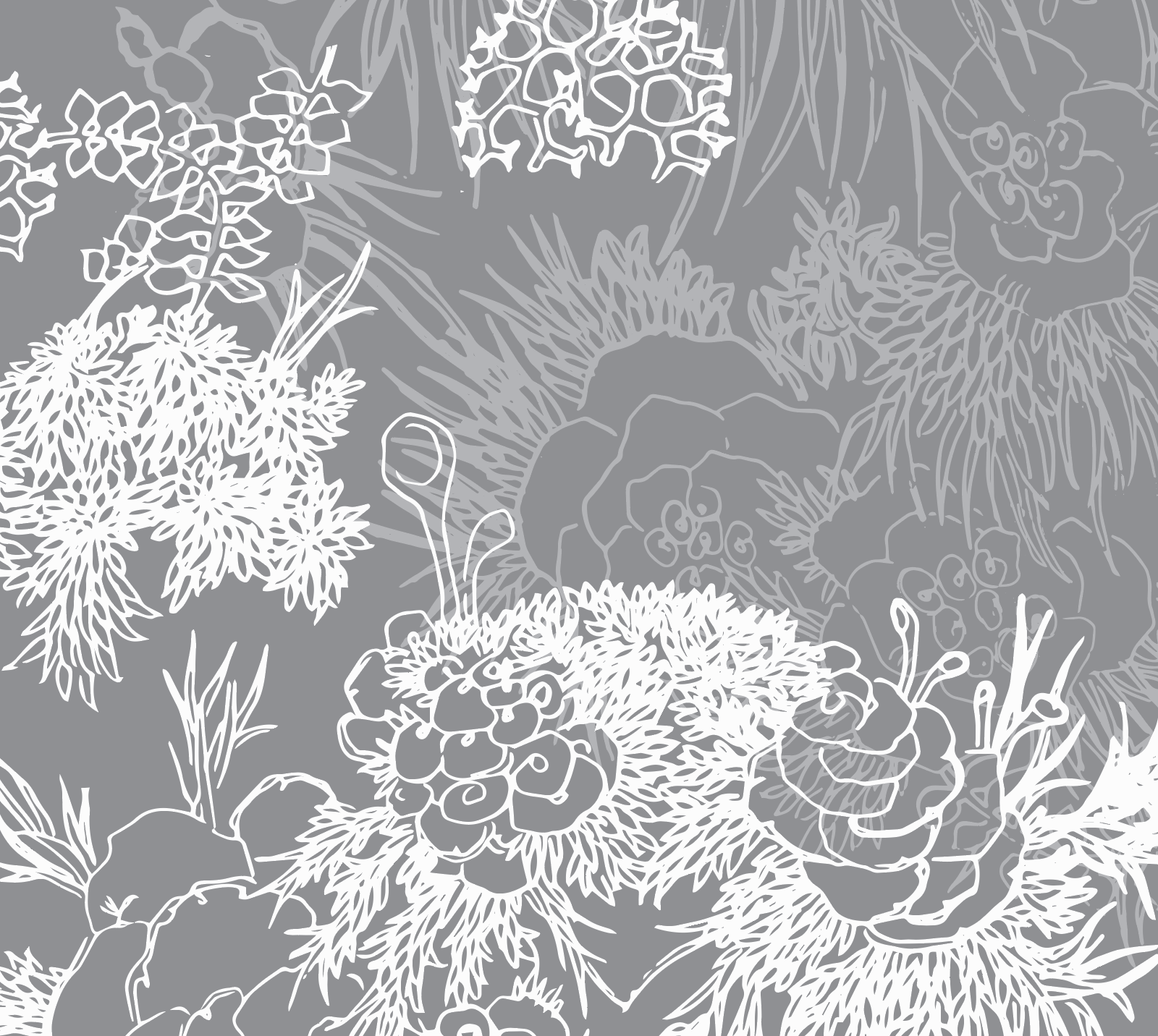 layered epiphytes.png