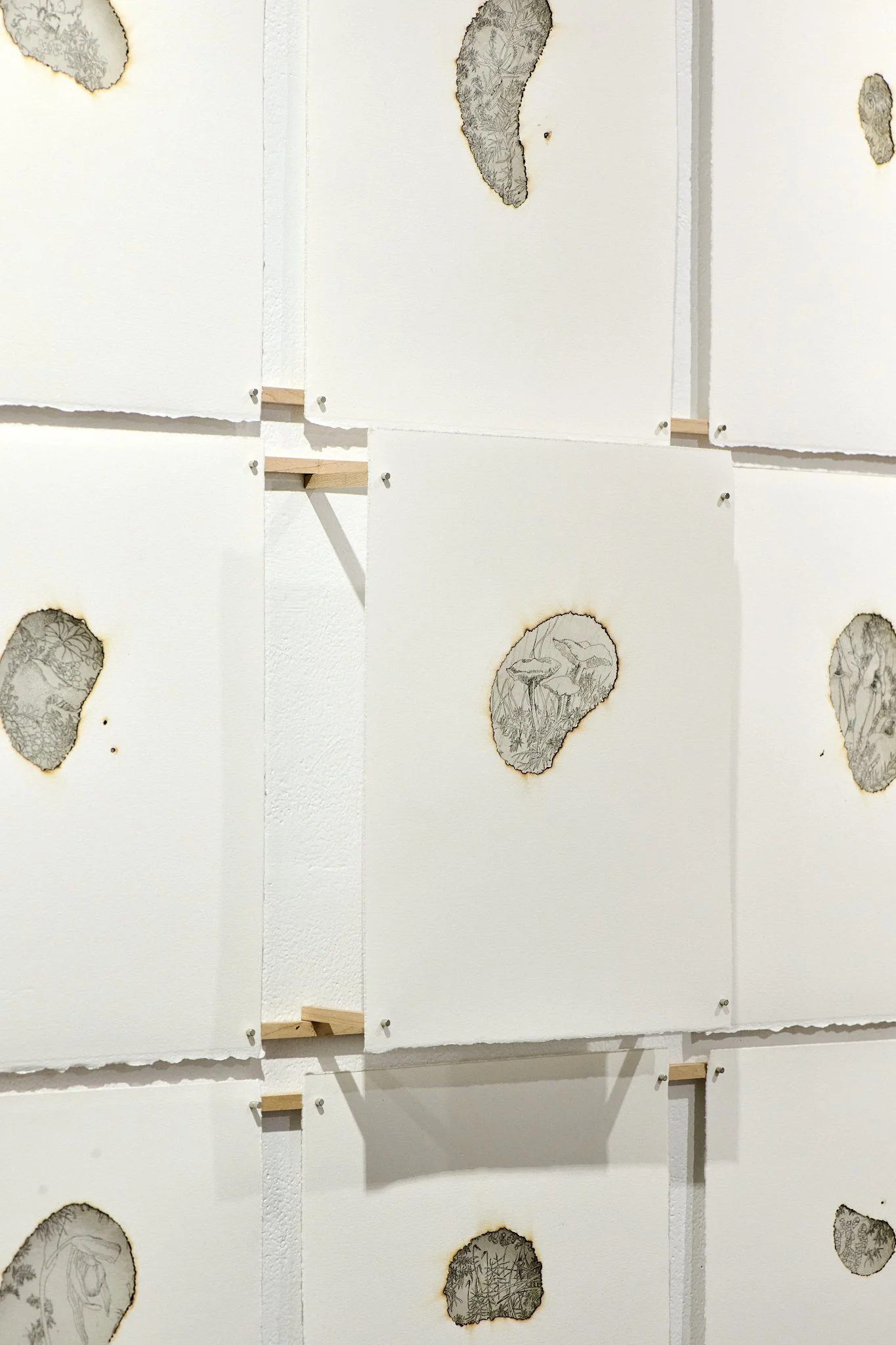 15_2025-11-30_What remains_Exhibition vCraig Gallery__WSZ1464_WS-web.jpg