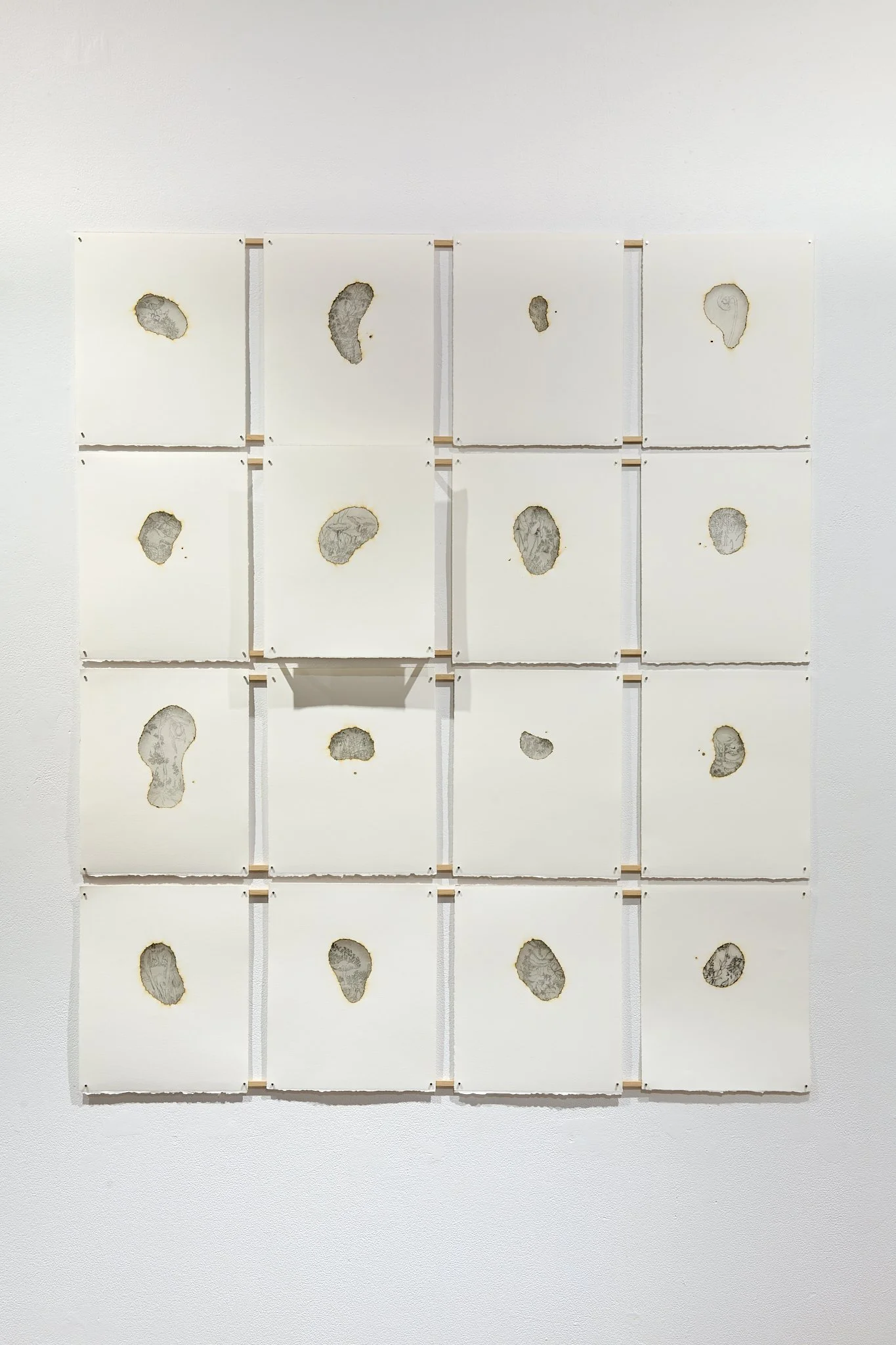 Ash Lines  (2024-25)    
Collection of 16, each 9” x 11”  Intaglio Prints on Silk Gampi tissue on BFK Rives Support Paper, Incense burned edges, installed on birch wood scaffold.

Ash Lines speaks to the intersection of mark and erasure, of what rema