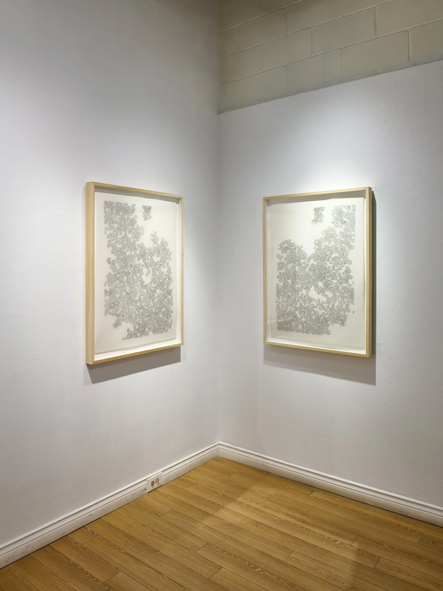 21_2025-11-25_What remains_Exhibition vCraig Gallery__DSC2305_WS-web.jpg