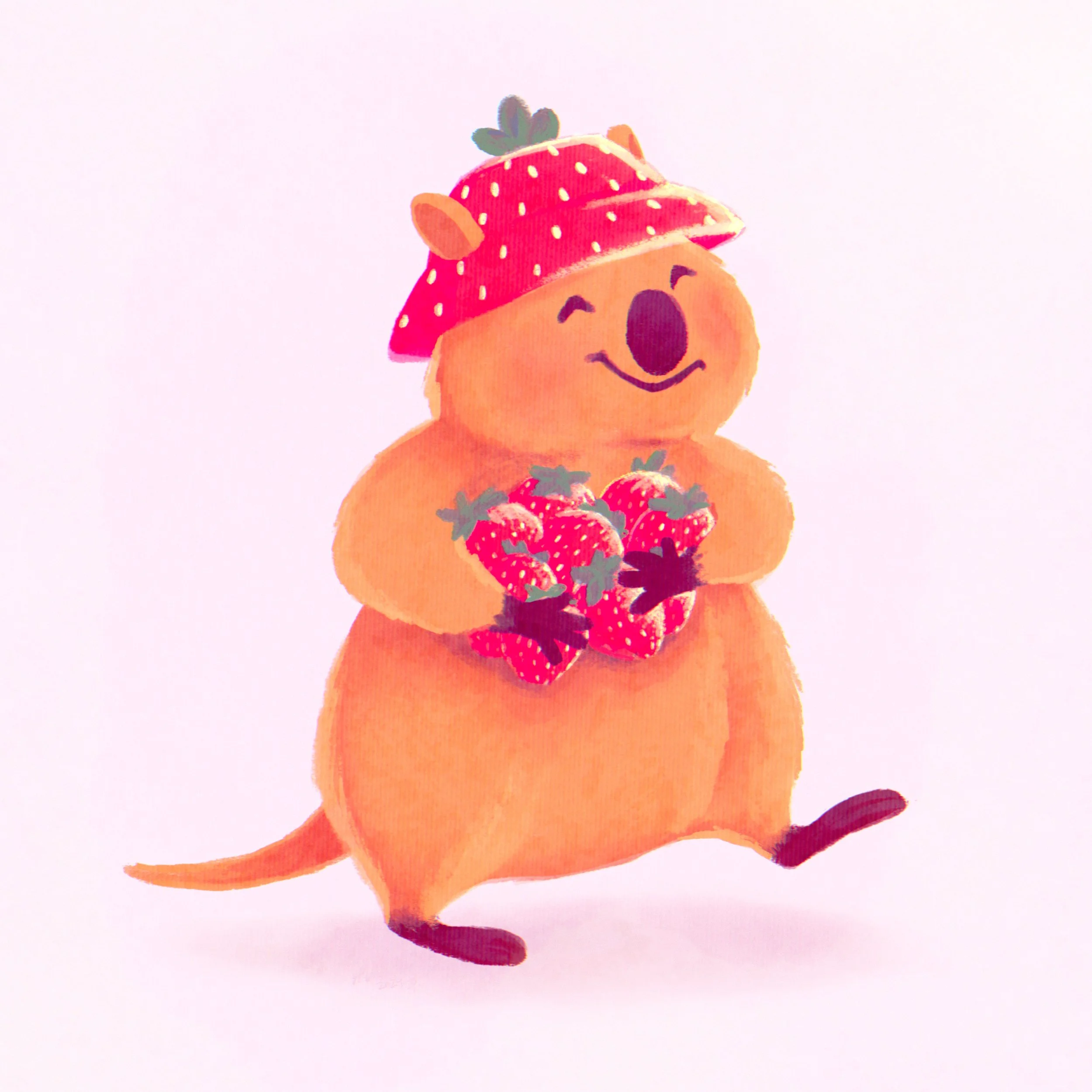 Quokka-by-HaleyWaller.jpg