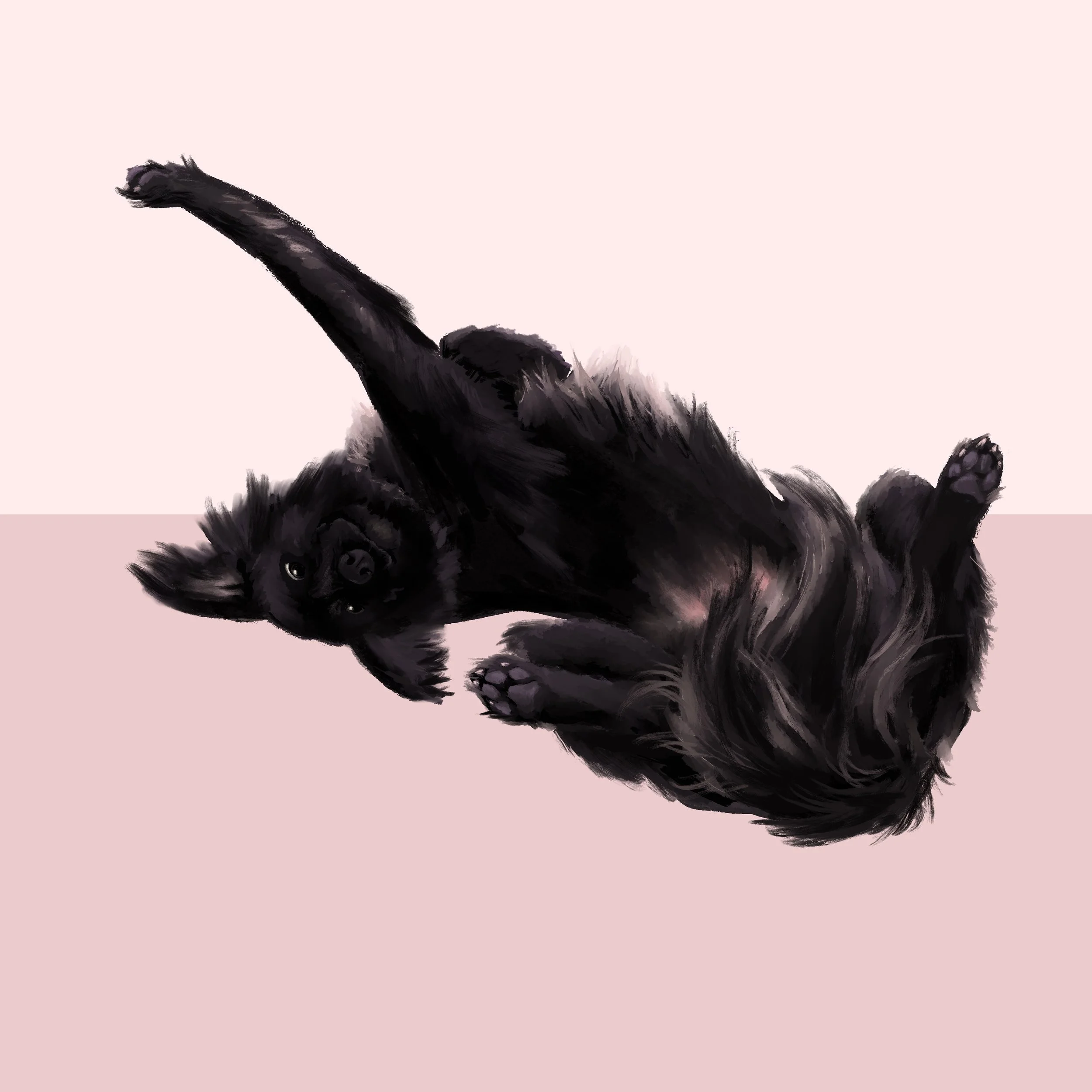 Arlo-by-HaleyWaller.jpg