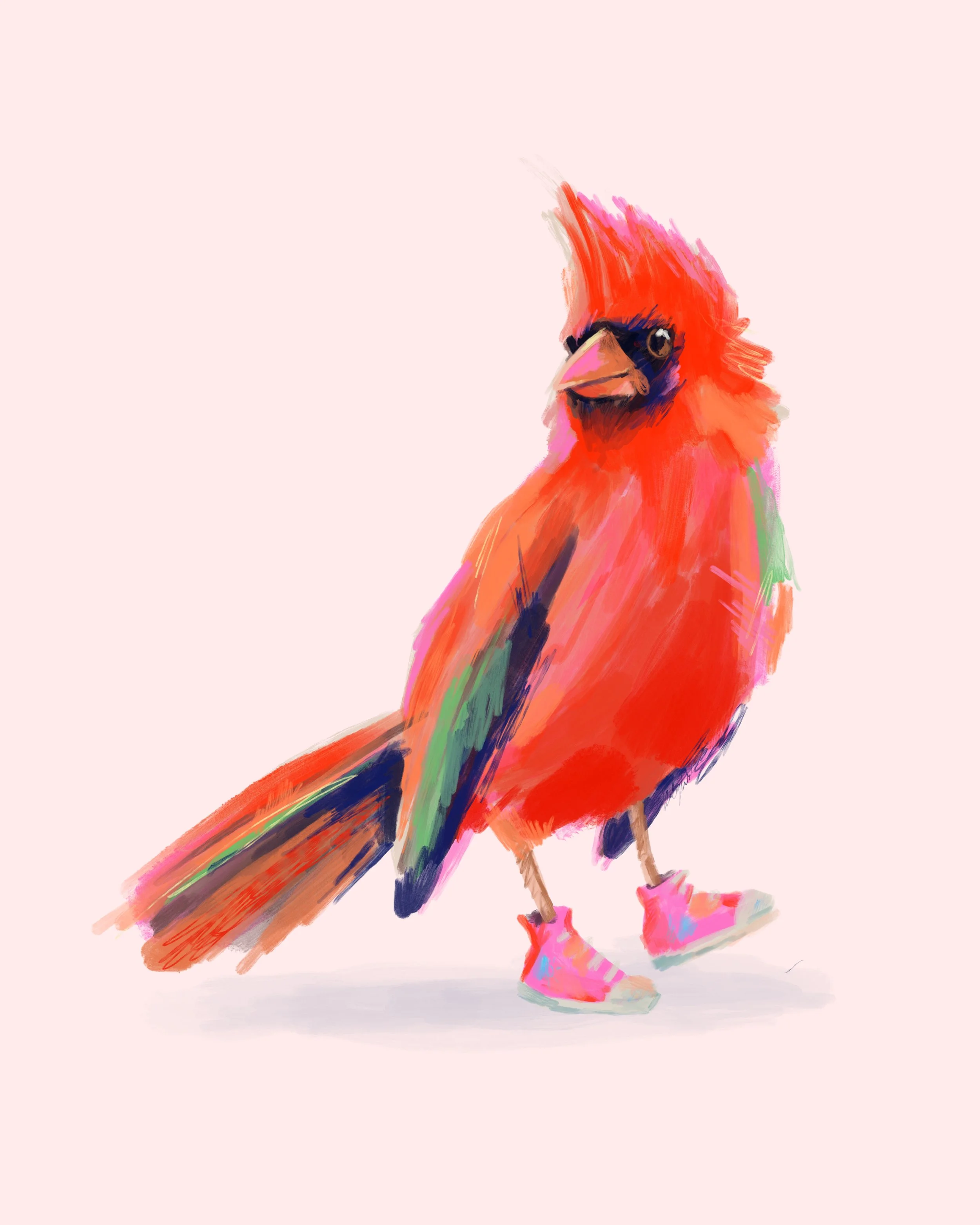 BirdwithShoes-by-HaleyWaller.jpg