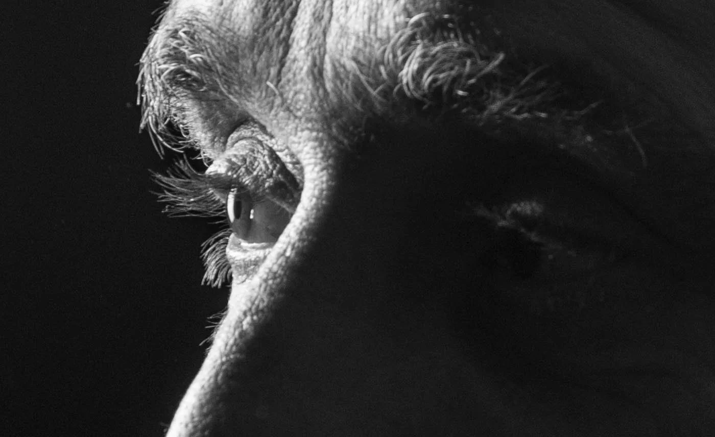 Gros plan sur le regard de l'artiste peintre Esteban Martorell