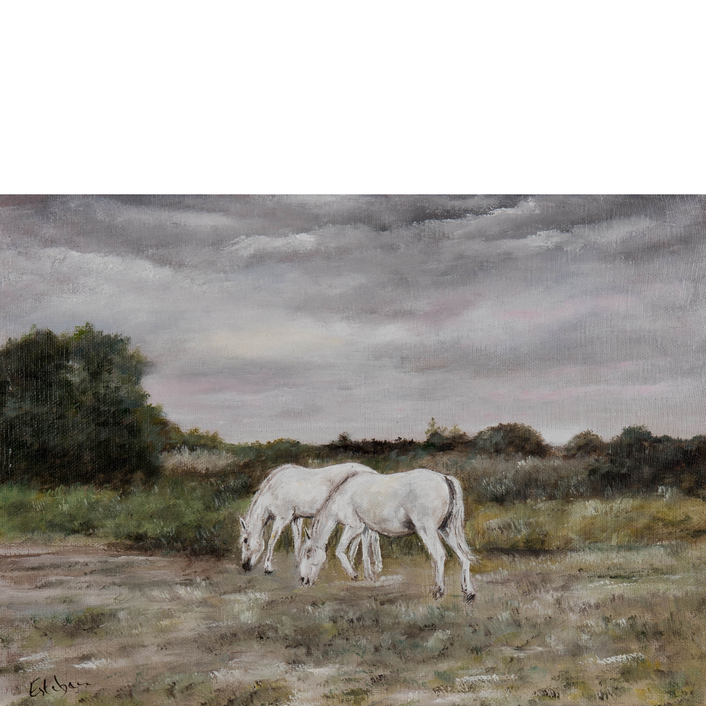 Après la pluie 33 x 24 cm.png