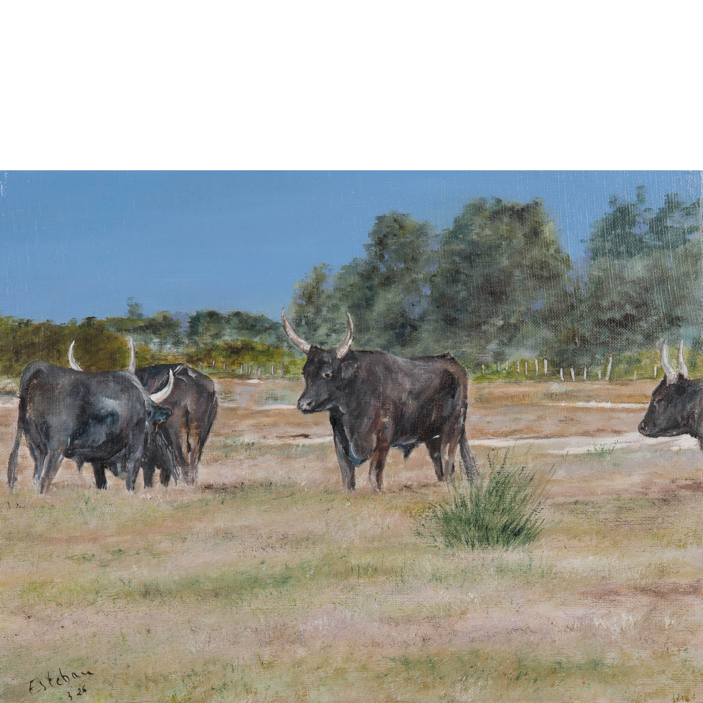 La manade 35 x 27 cm.png