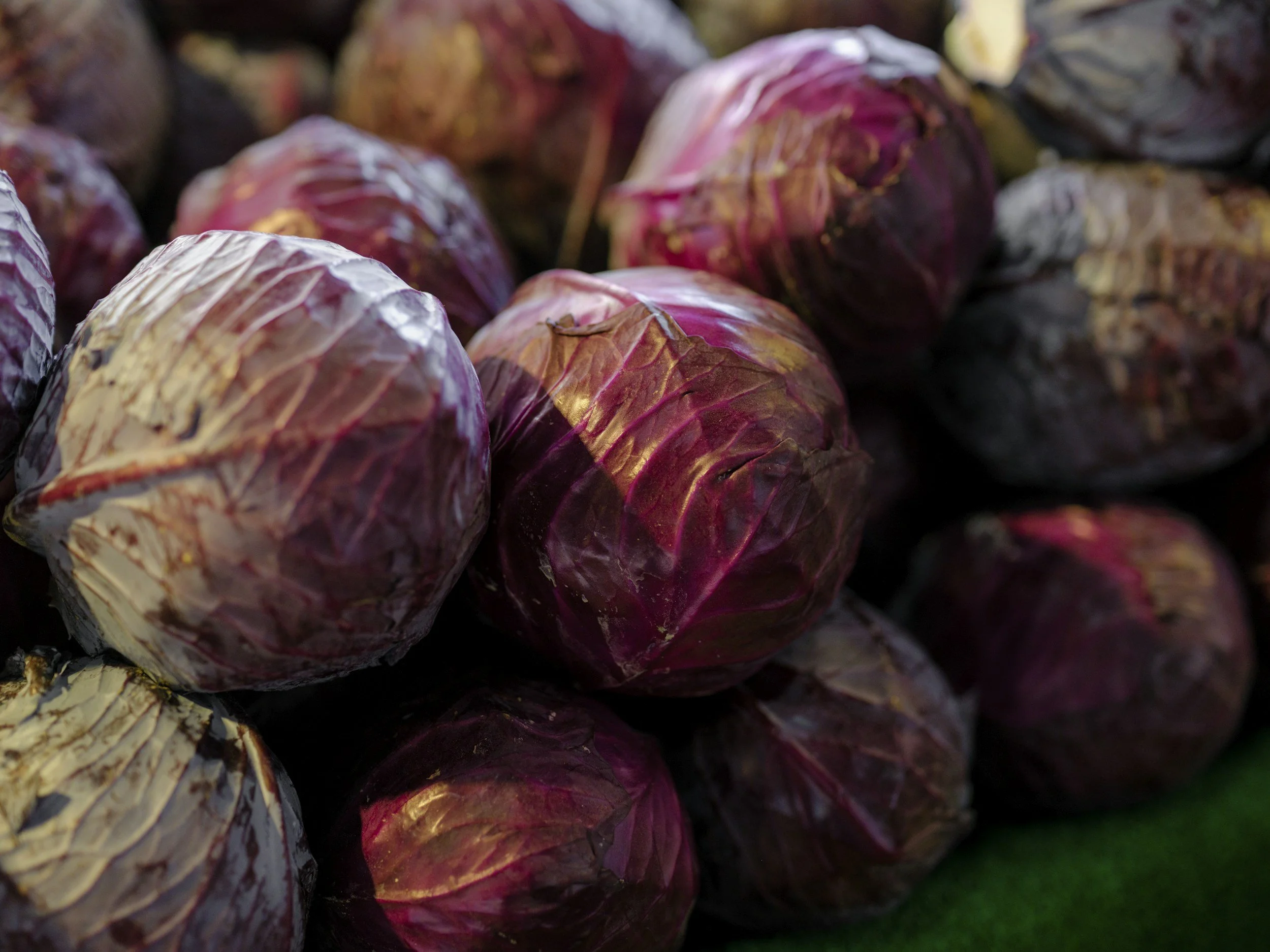 Plusieurs choux rouges empaquetés, certains avec des feuilles extérieures flétries, en gros plan.