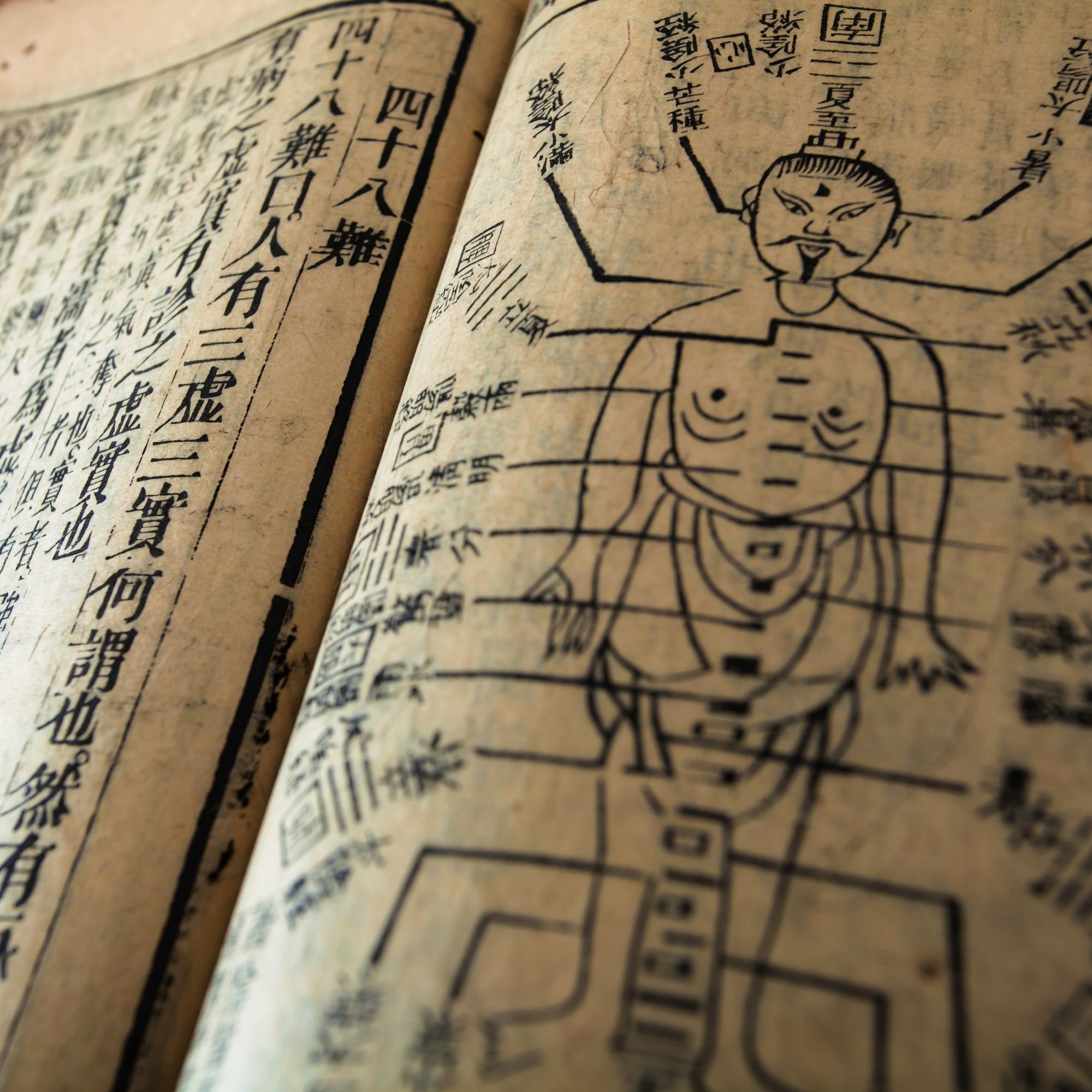 C'est quoi "ton terrain" en médecine chinoise ? (et pourquoi ça change tout)