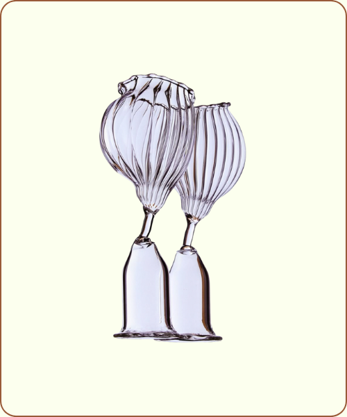 Verres à champagne Maison Barrere