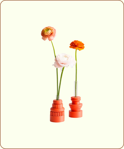 Soliflores La Chambre d'Ami