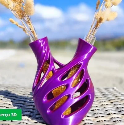 Vase Double Éclatant