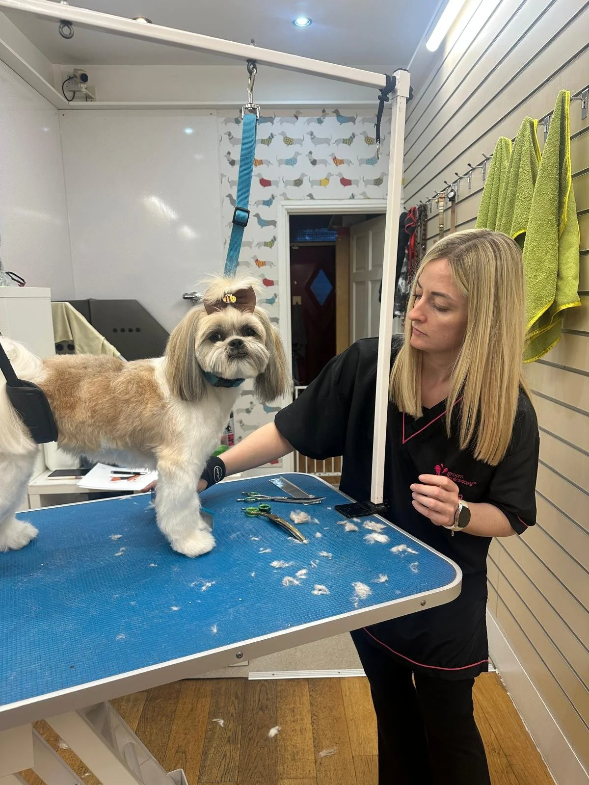 A groomer trimming a small dog's fur on a grooming table with grooming tools scattered on the surface, inside a grooming salon.