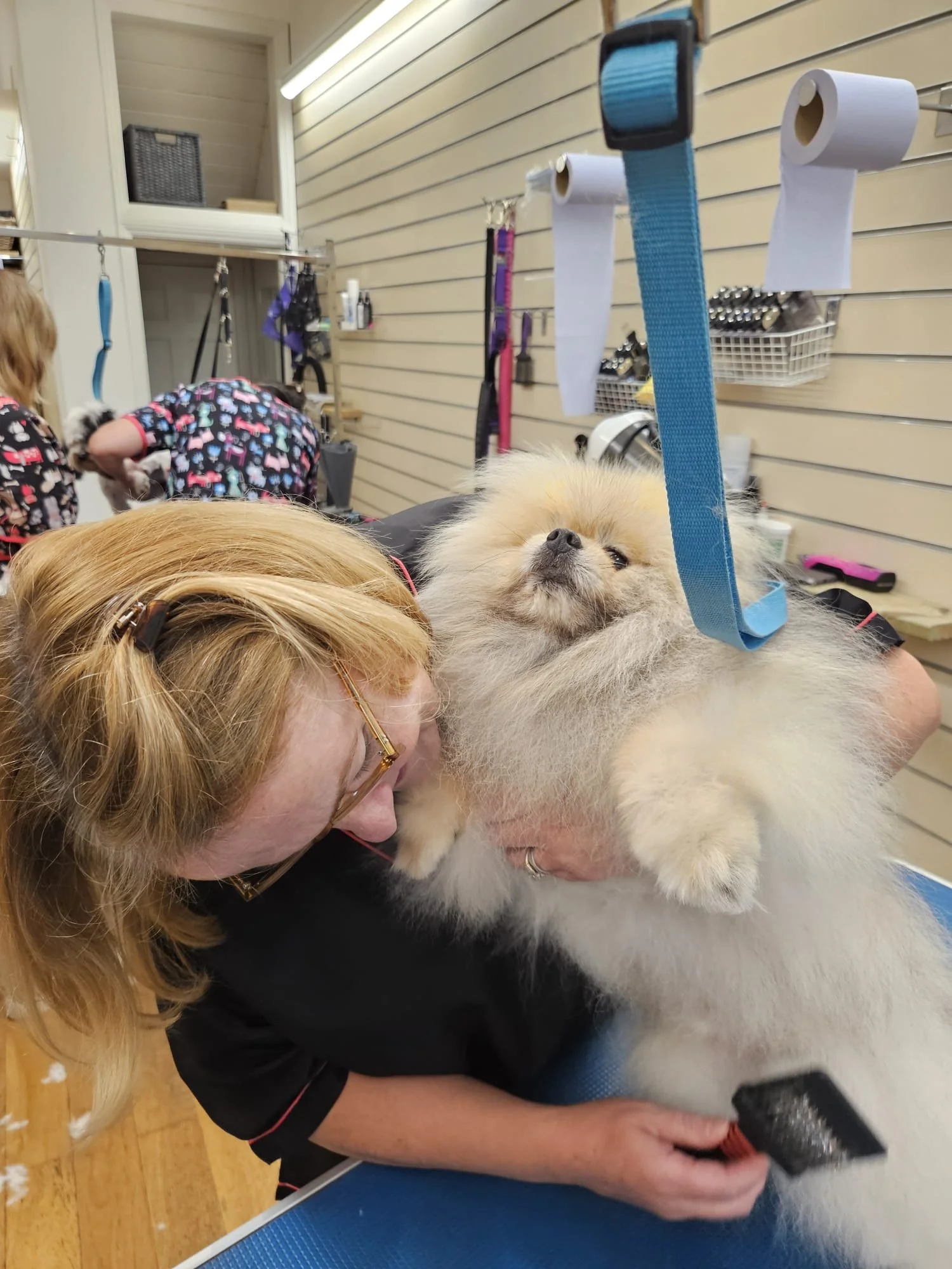 A woman grooming a fluffy Pomeranian dog on a grooming table, with grooming tools and supplies visible in the background.