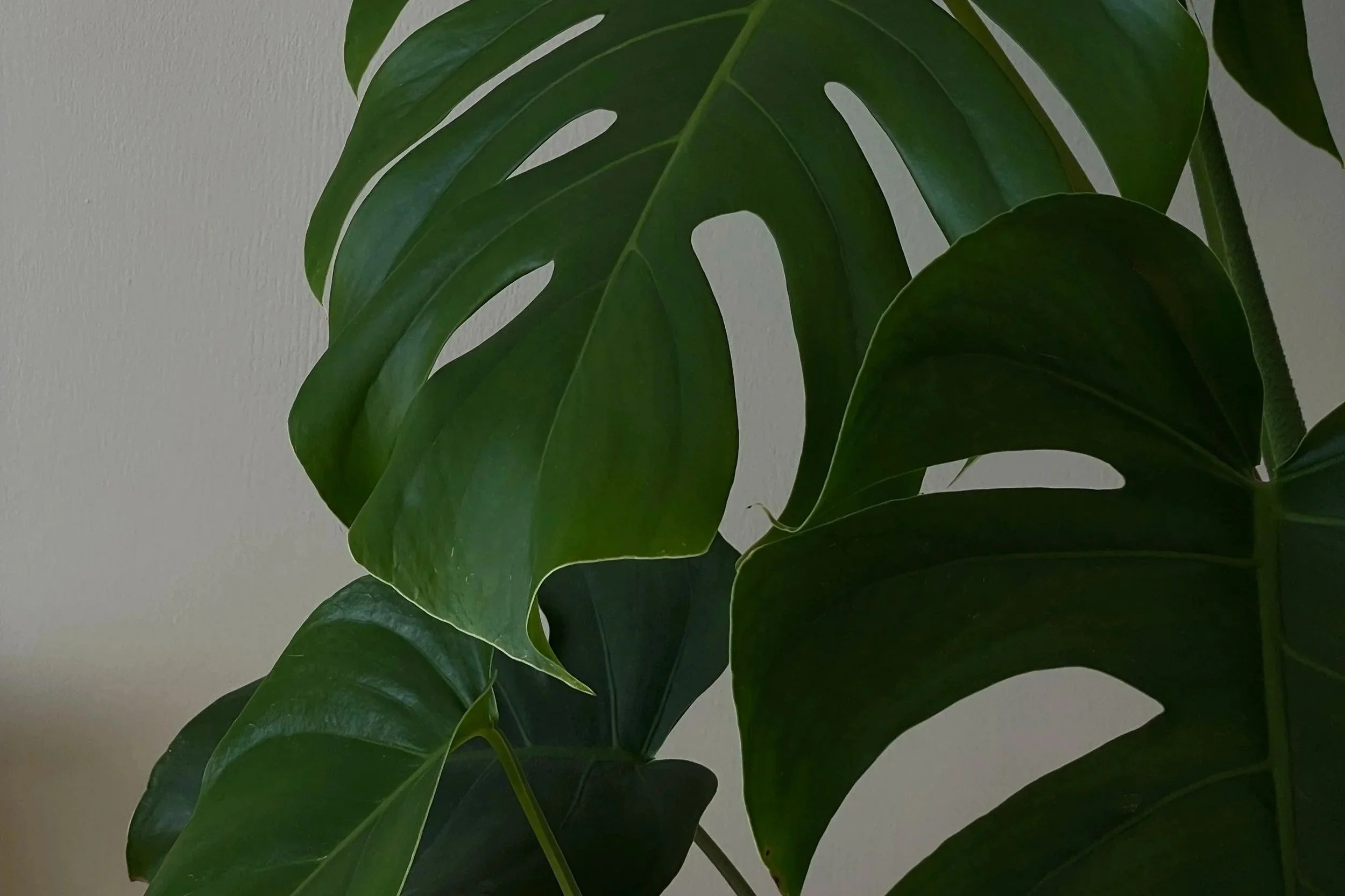 What Are The 17 Symptoms of PTSD? What You Need to Know