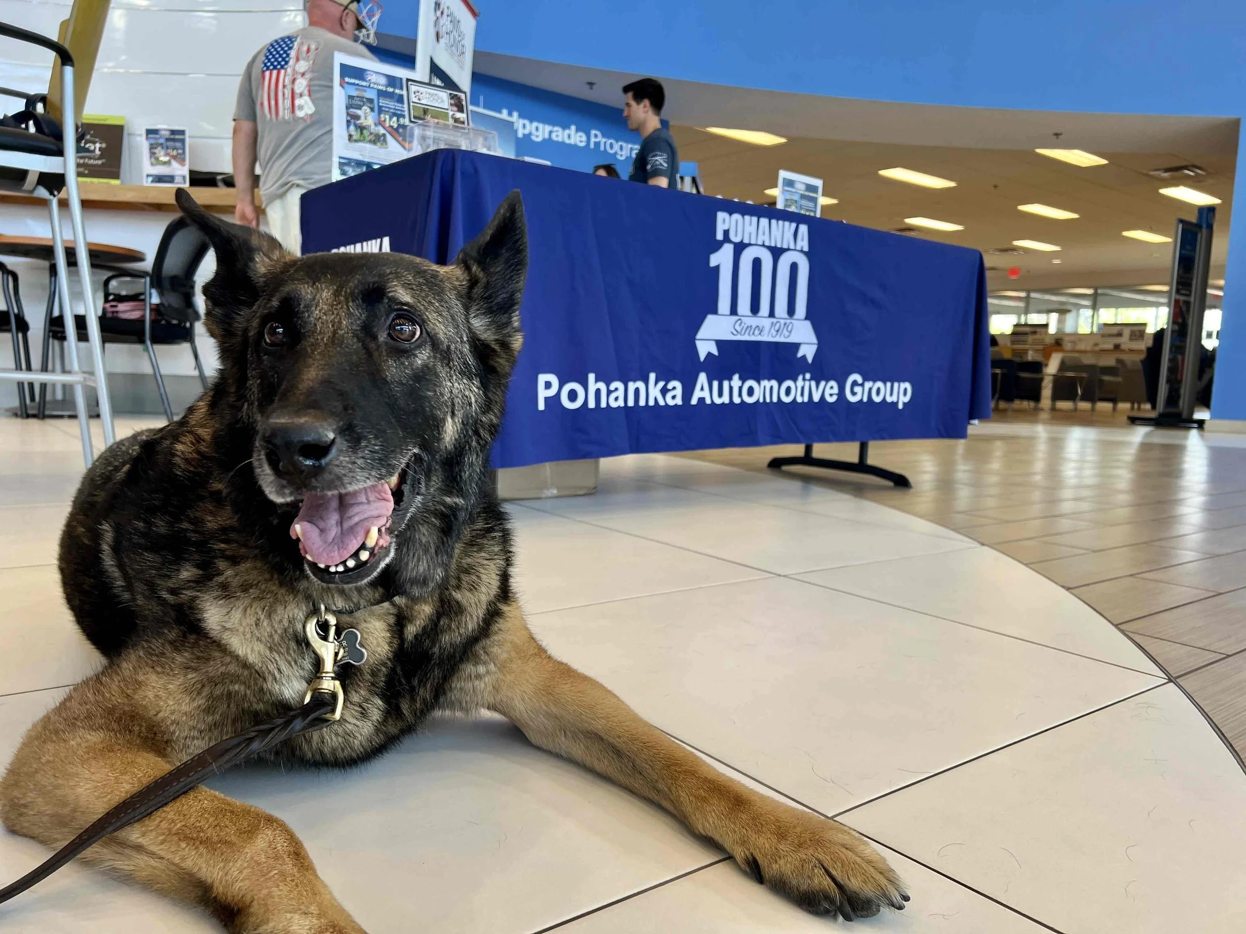 Paws of Honor - Honda, Nissan and Hyundai of Fredericksburg