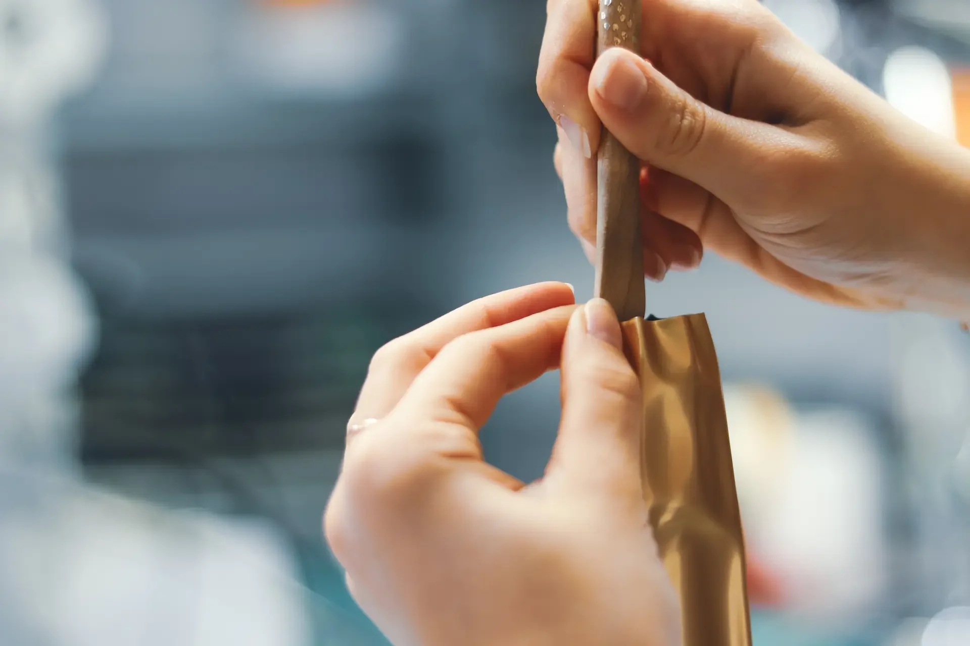 Pigment Grafiti - maquette coiffe-6.webp