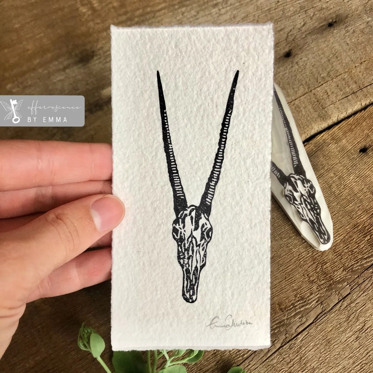 ✨
#linoprint#skullprint#anatomy#handcarved#inkonblock