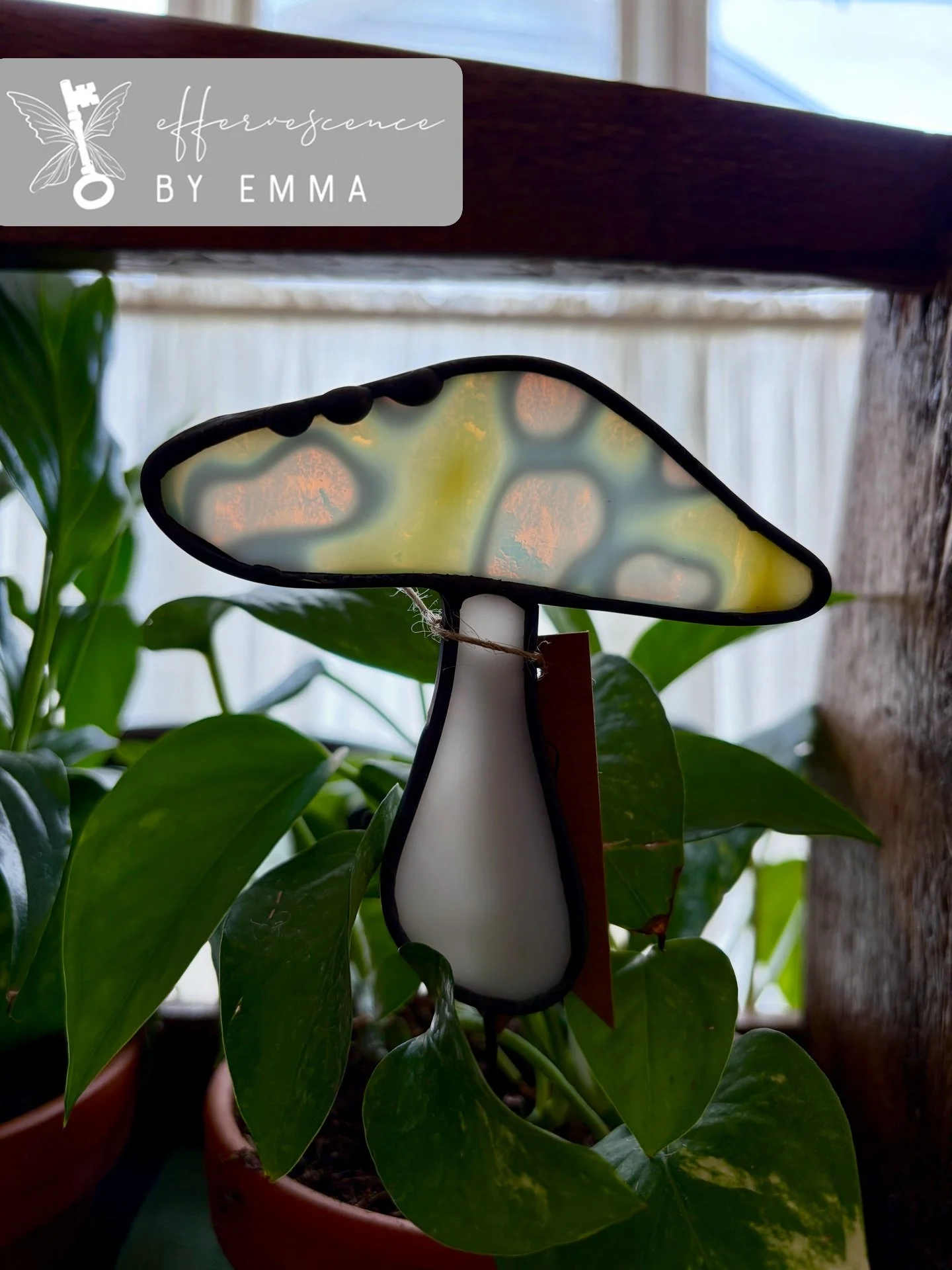 Suuuuuper cool bullseye glass mushroom stained glass plant stake! Available May 10th 📍 Trinity Bellwoods Park;)
P.s. I only have 1 available👀🏃&zwj;♀️

#stainedglass#mushroomart#mushroomlove #torontomarket#handmadeart