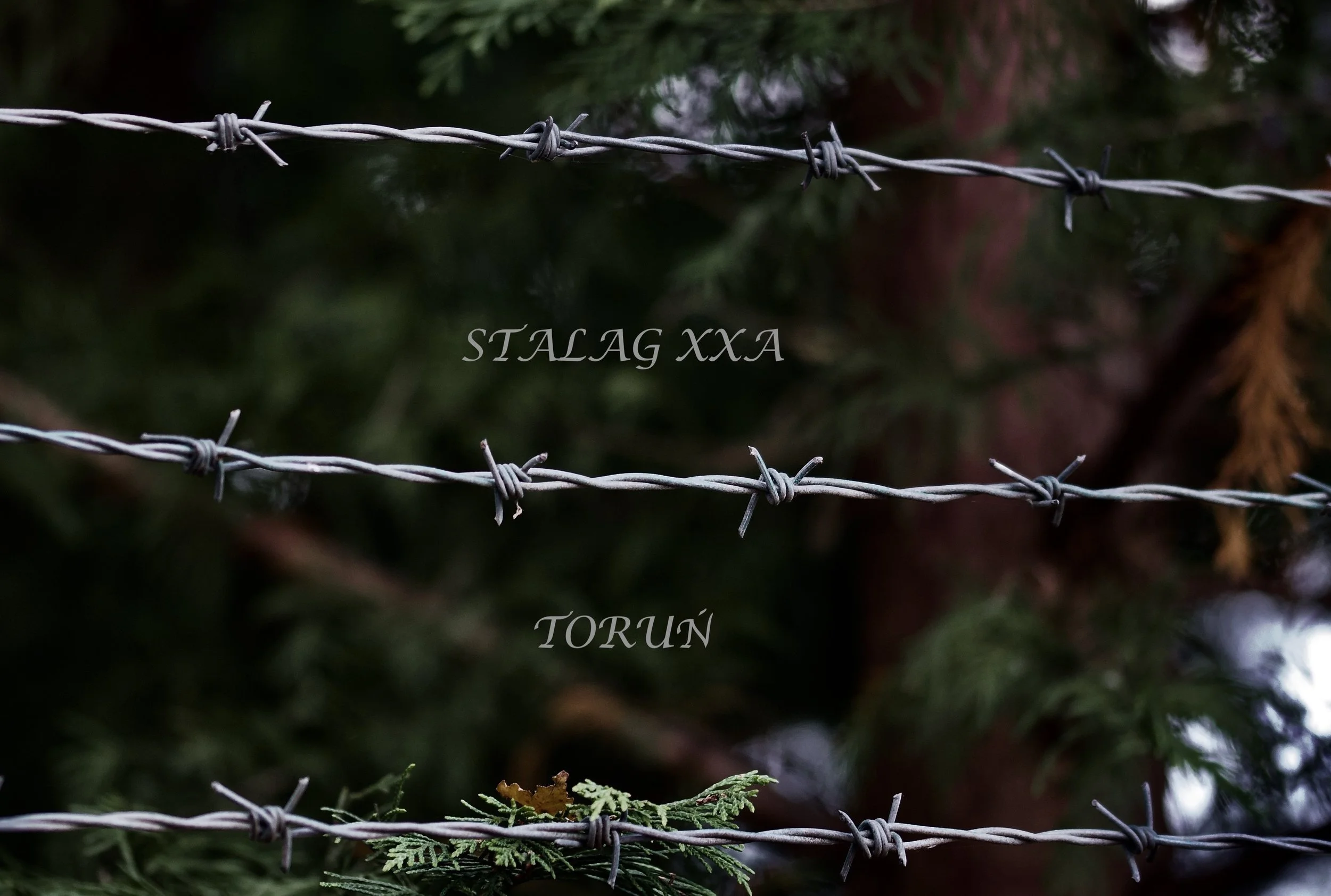 Stories From World War Two - Part Three; Existing in a Stalag