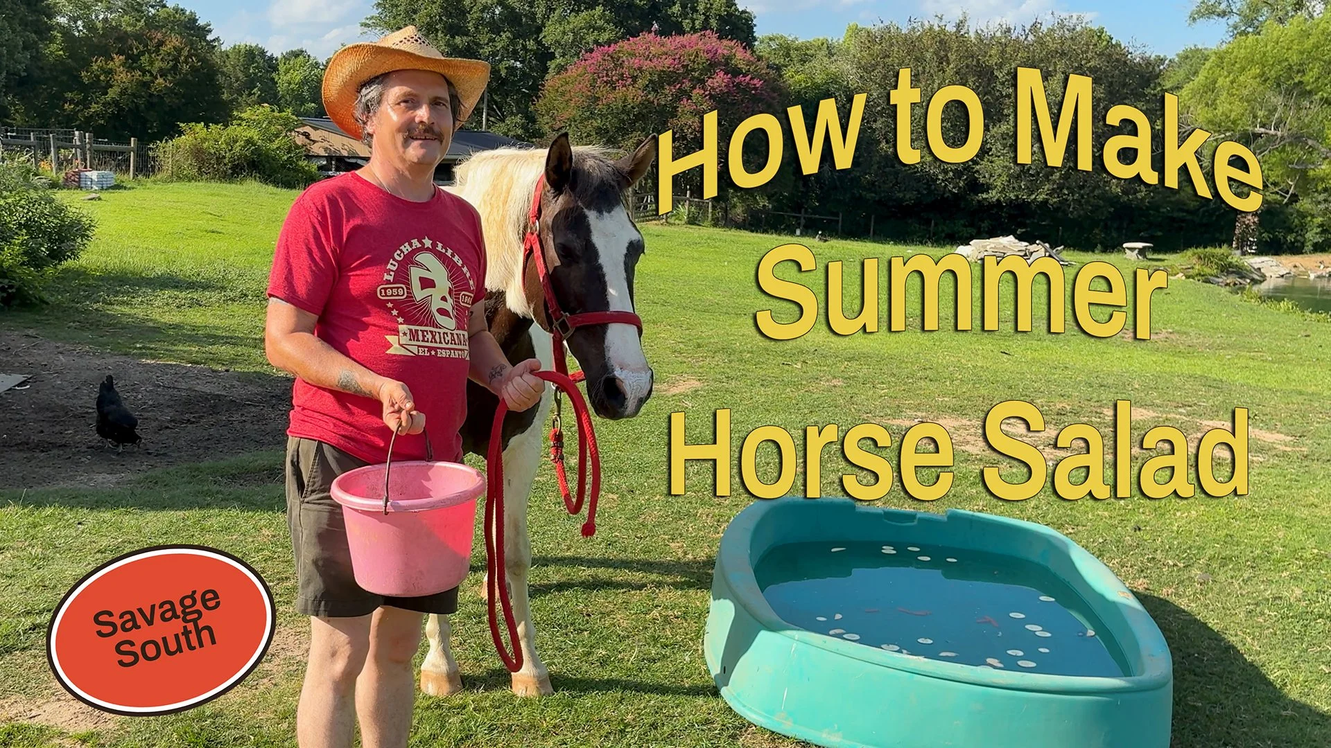 How to Make Summer Horse Salad!