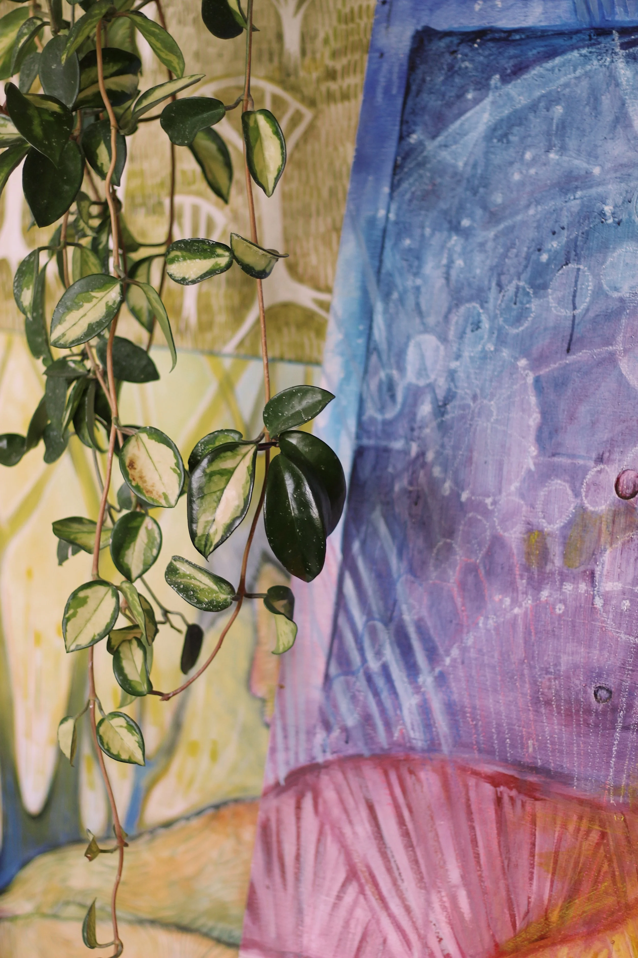Close-up of a hanging vine plant with green and white variegated leaves, and colorful, abstract painted backgrounds in purple, yellow, blue, and red.