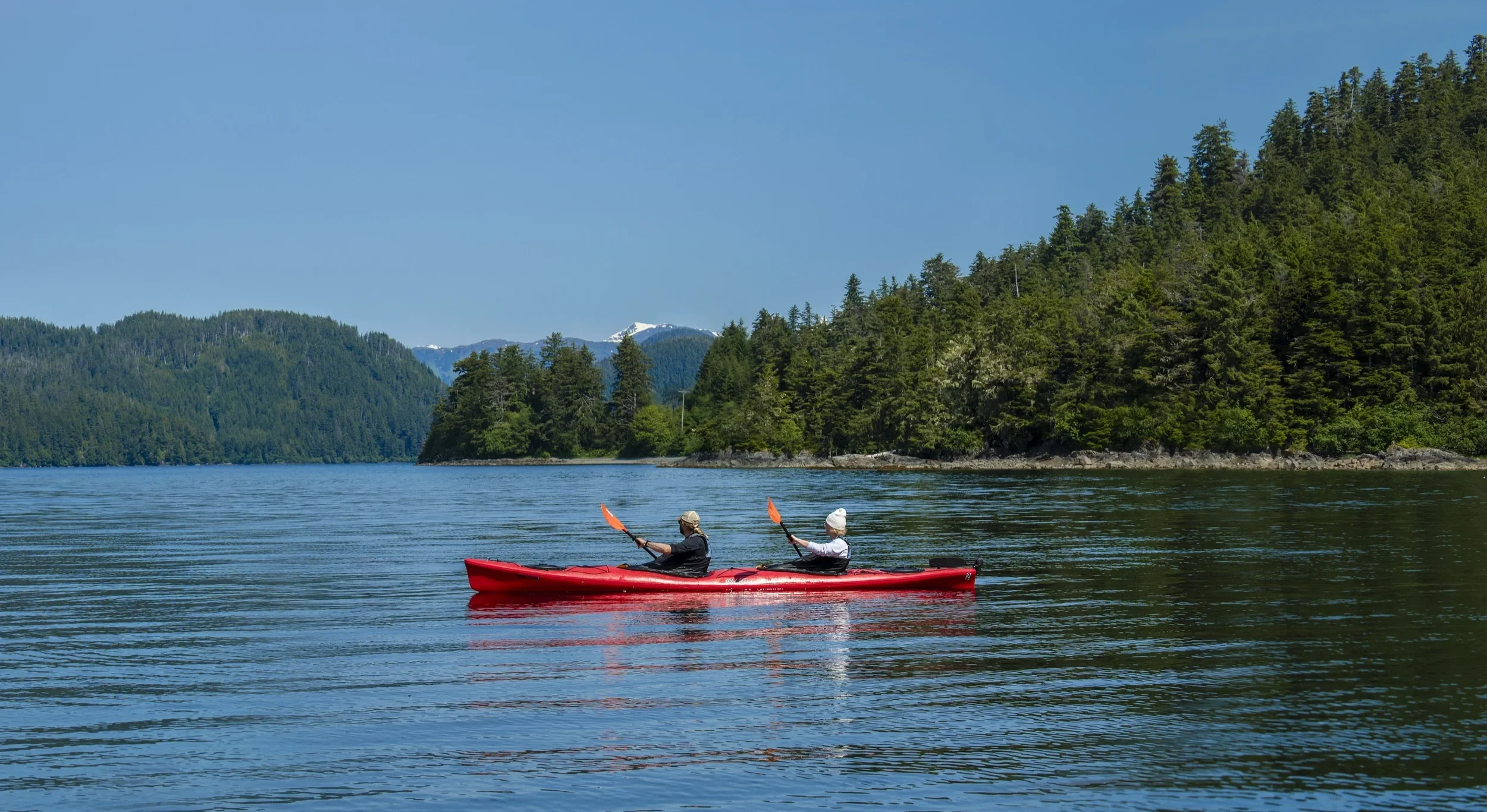Two people kayaking on a calm lake with lush green trees and mountains in the background under a clear blue sky in sitka, alaska.