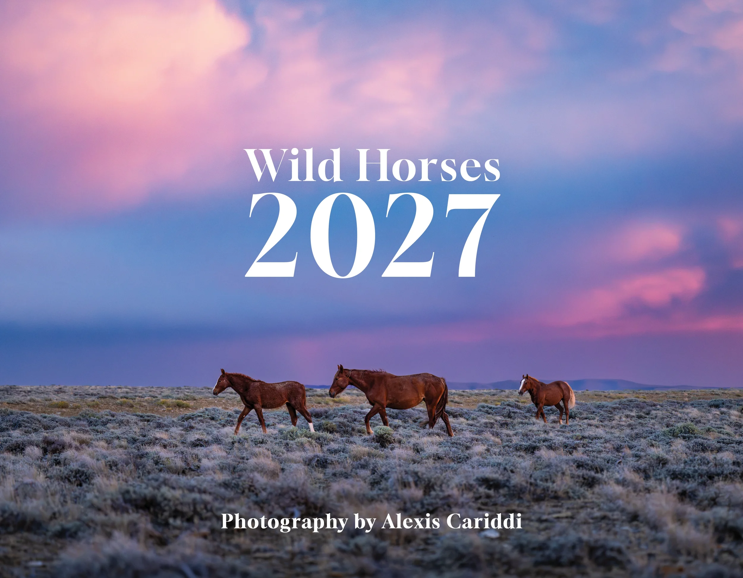 2027 Wild Horses Calendar | PRE-ORDER