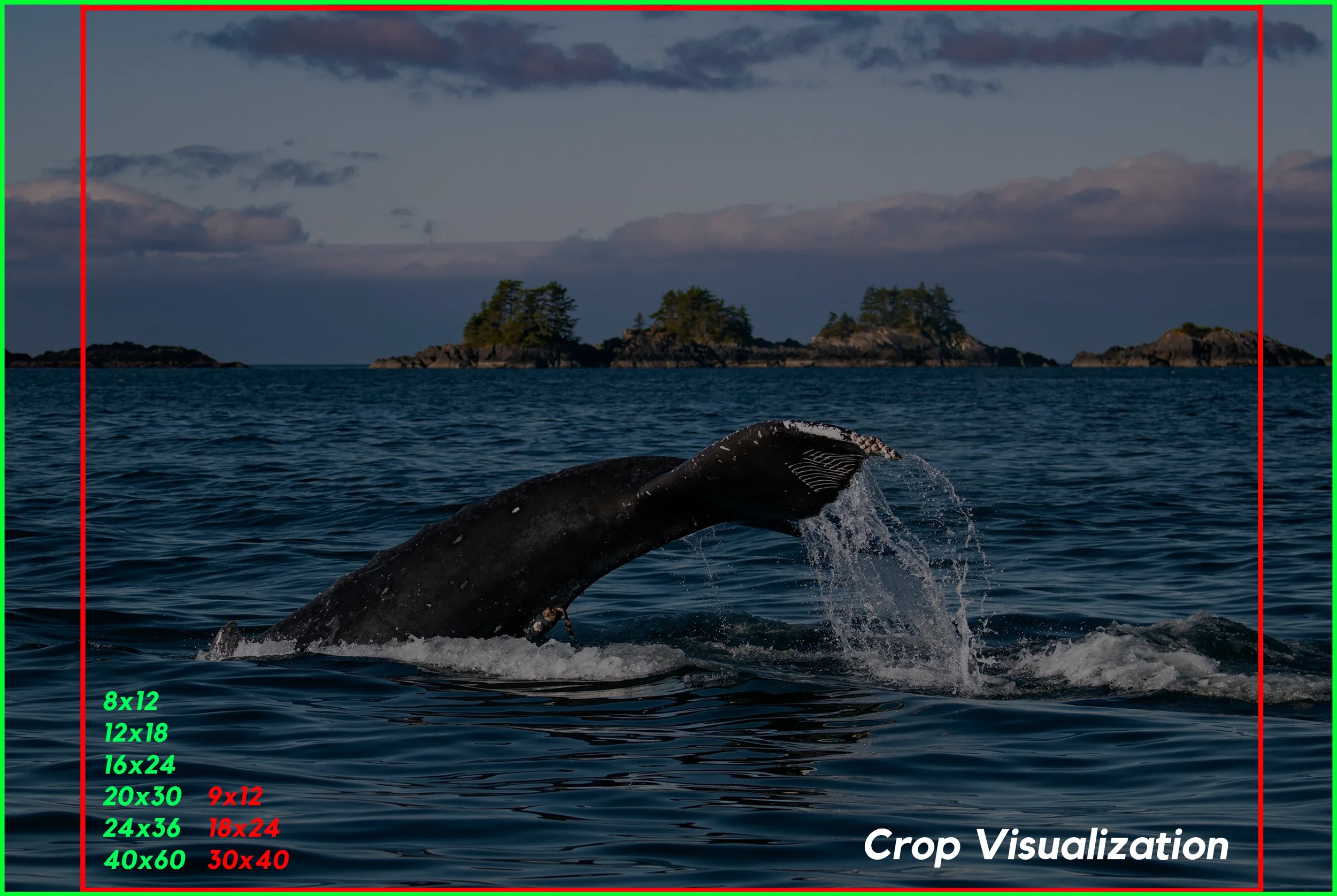 Deep Dive Crop Visualization.webp